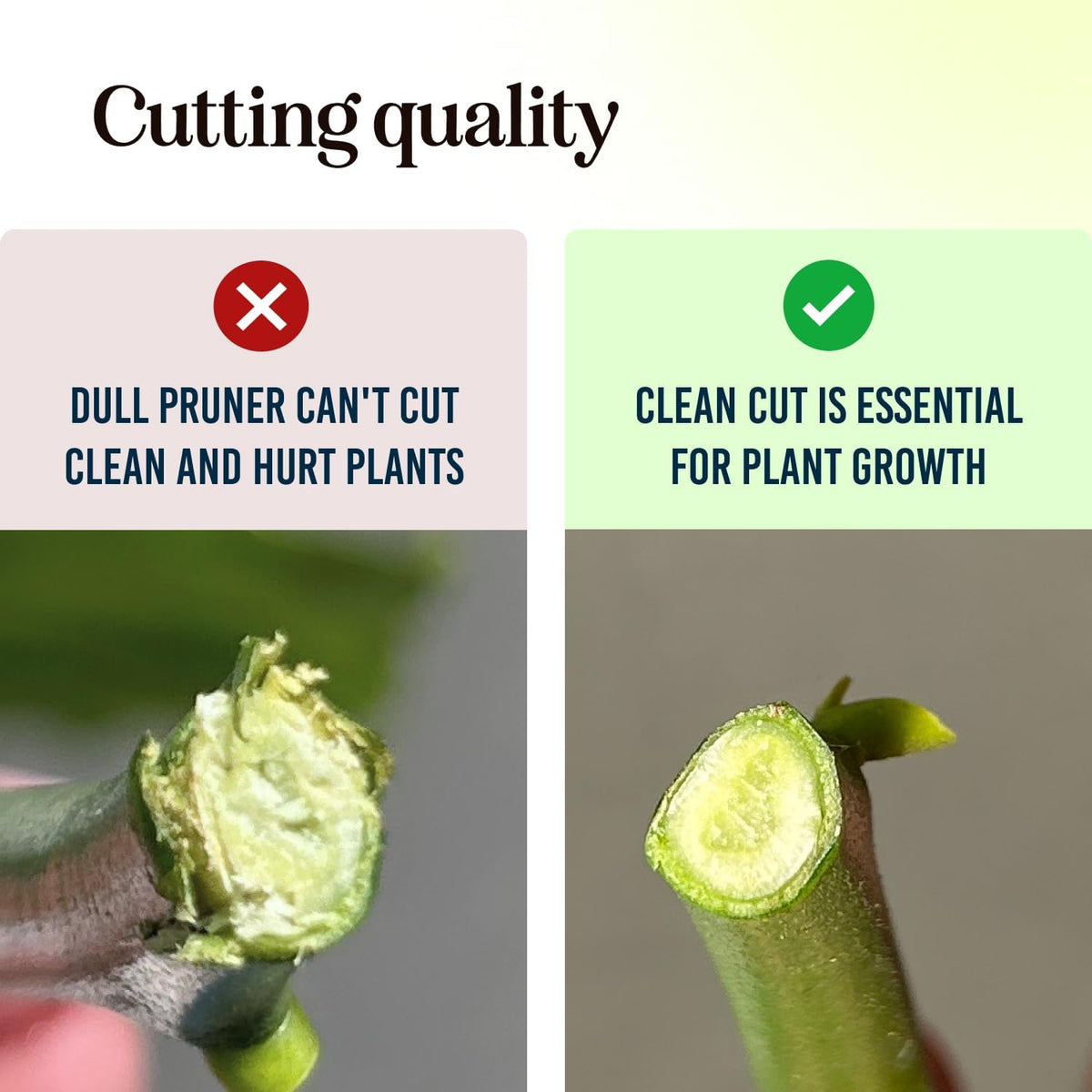 Ultra Sharp Pruning Shears Hedge Clipper – Cuts 3X Easier, Dual-Size Opening, Weak Hand Arthritis Clippers, Rust-Resistant Pruner, Effortlessly Cuts Father Jim Norris notebooks