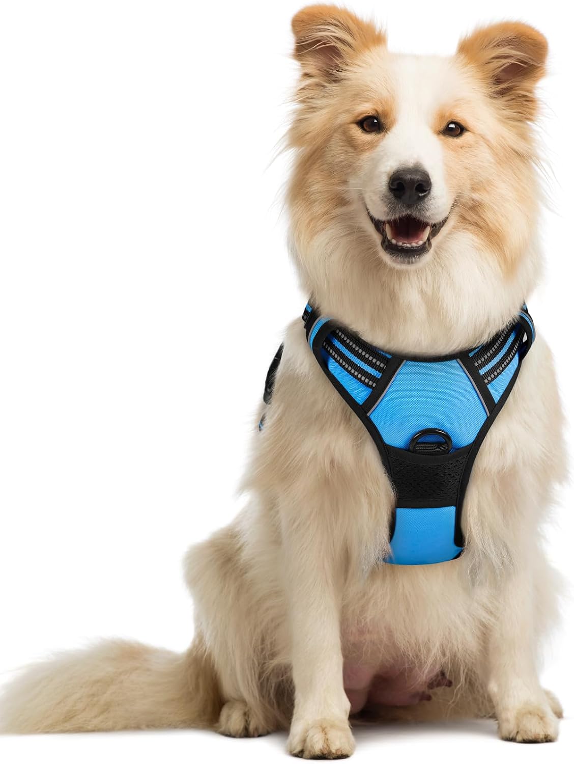 rabbitgoo Dog Harness, No Pull for Large Dogs with 2 Leash Clips, Pet Vest