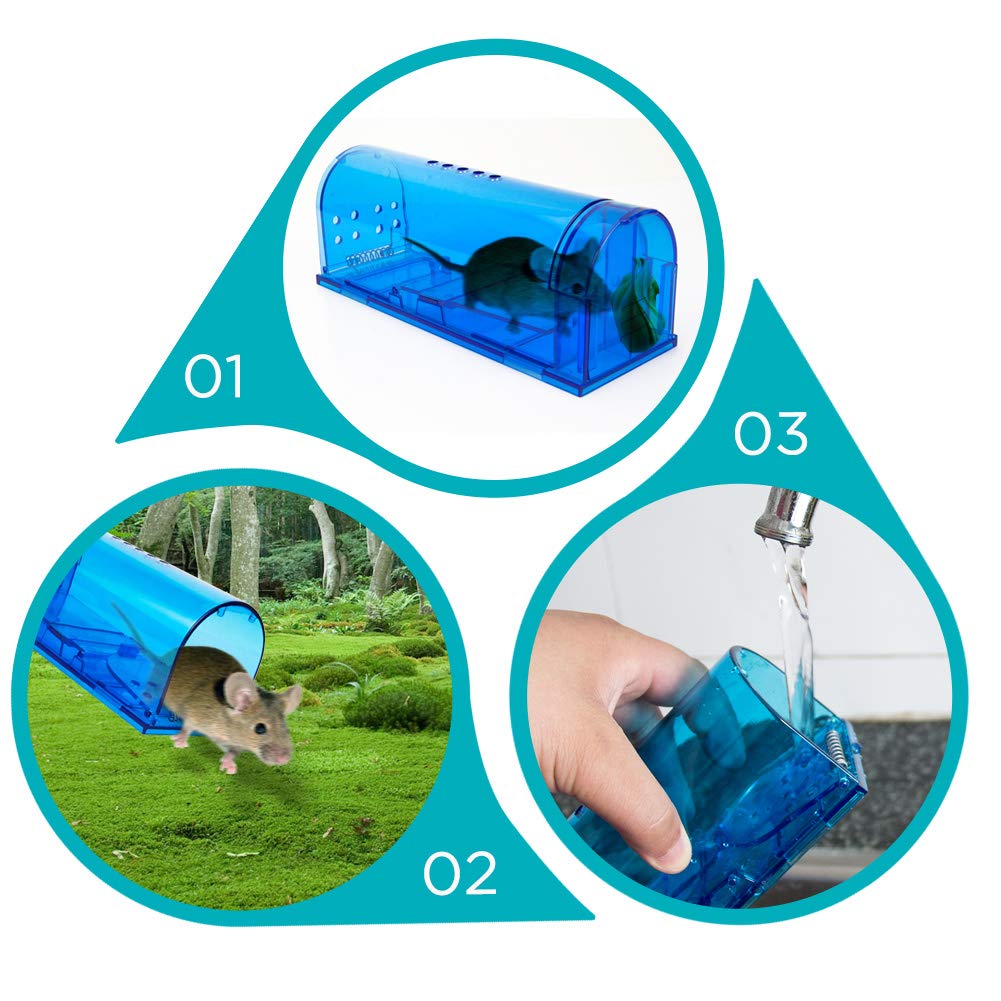 Humane Mouse Trap Reusable! [2-Pack] - Catch and Release No-Kill Rodent Traps for Indoors & Outdoors - Safe for Children & Pets - Reusable Mouse Catcher for Kitchen, Pantry & Garage Blinc (Blue) Father Jim Norris notebooks