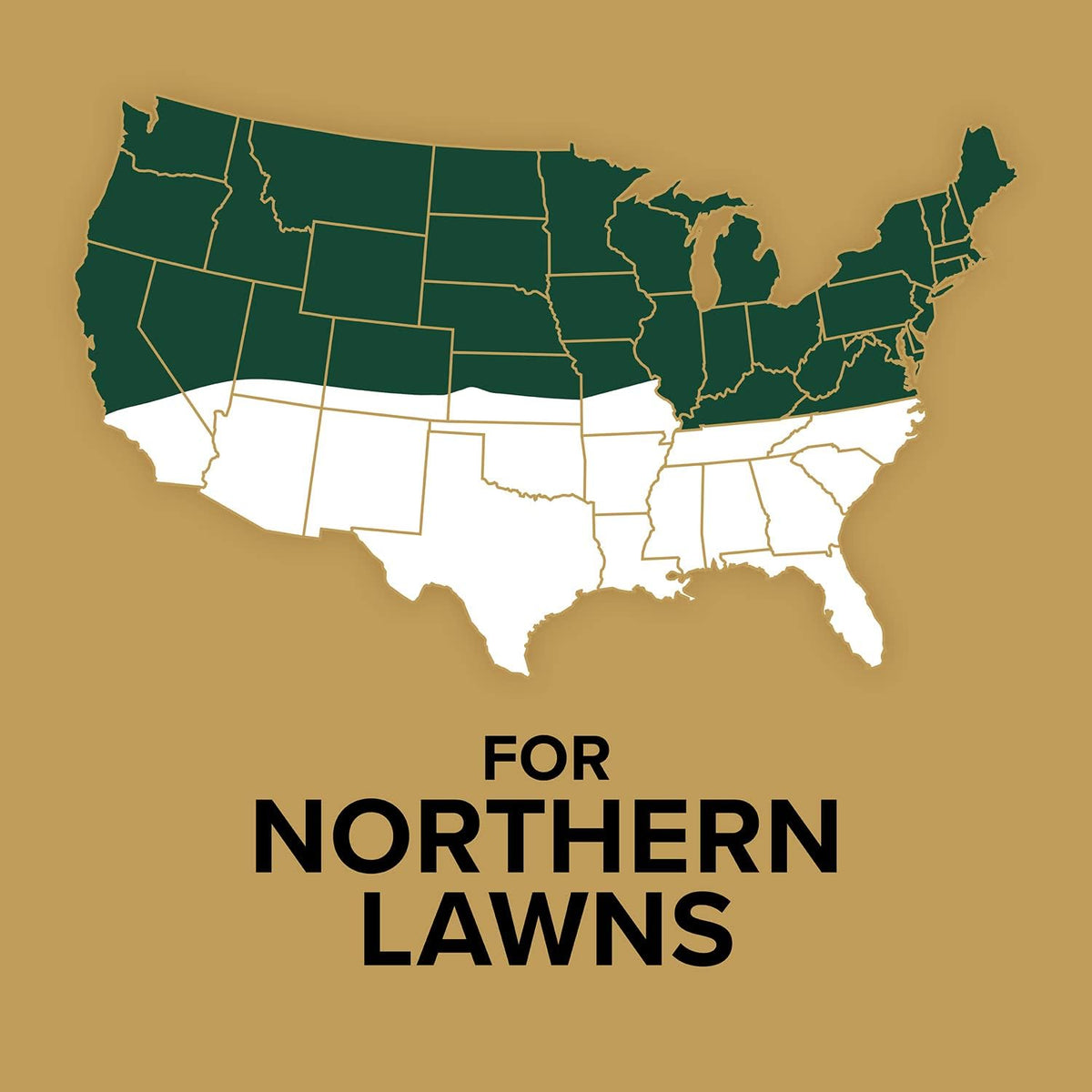 Scotts EZ Seed Patch & Repair Sun and Shade, 10 lbs. Father Jim Norris notebooks