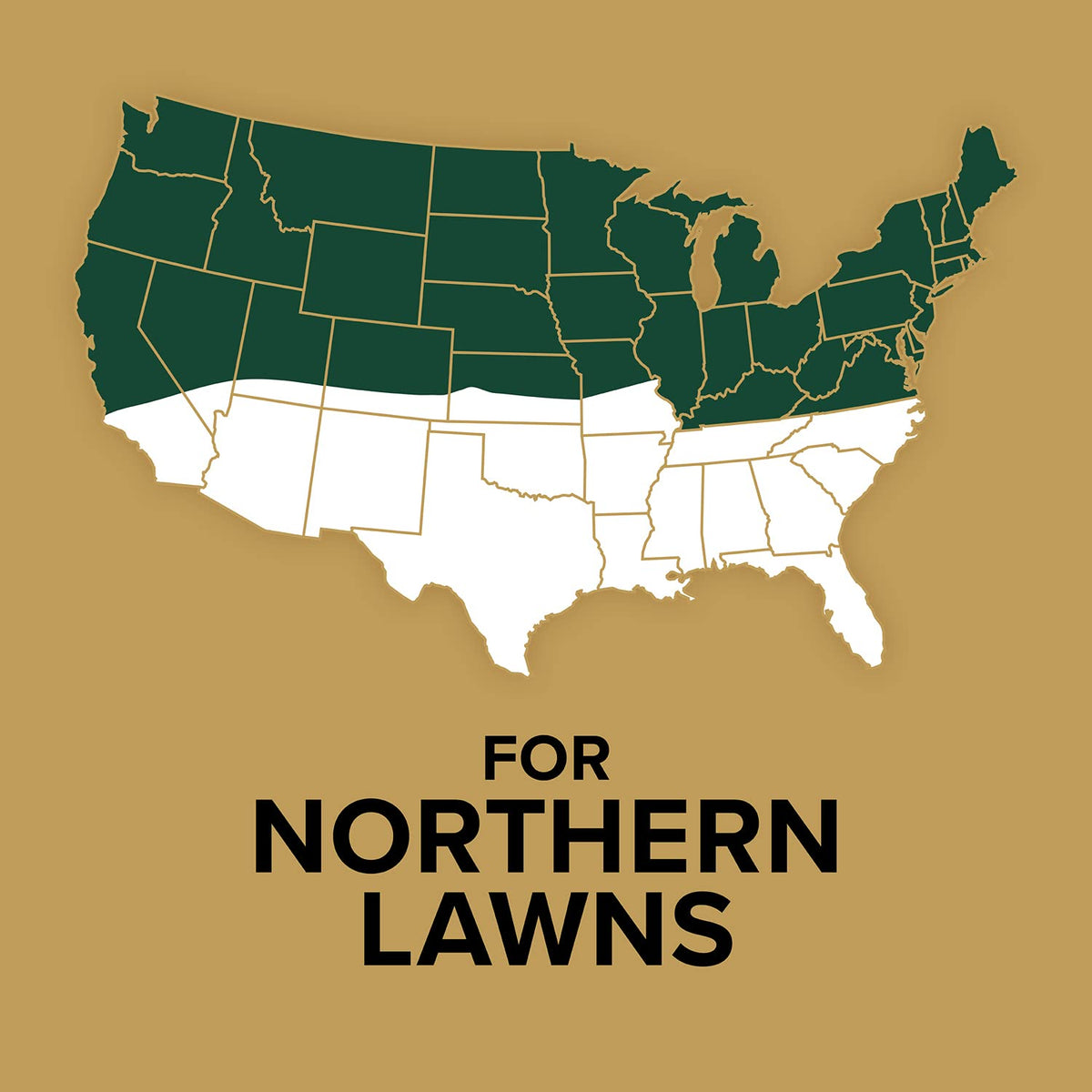 Scotts EZ Seed Patch & Repair Sun and Shade, 10 lbs. Father Jim Norris notebooks