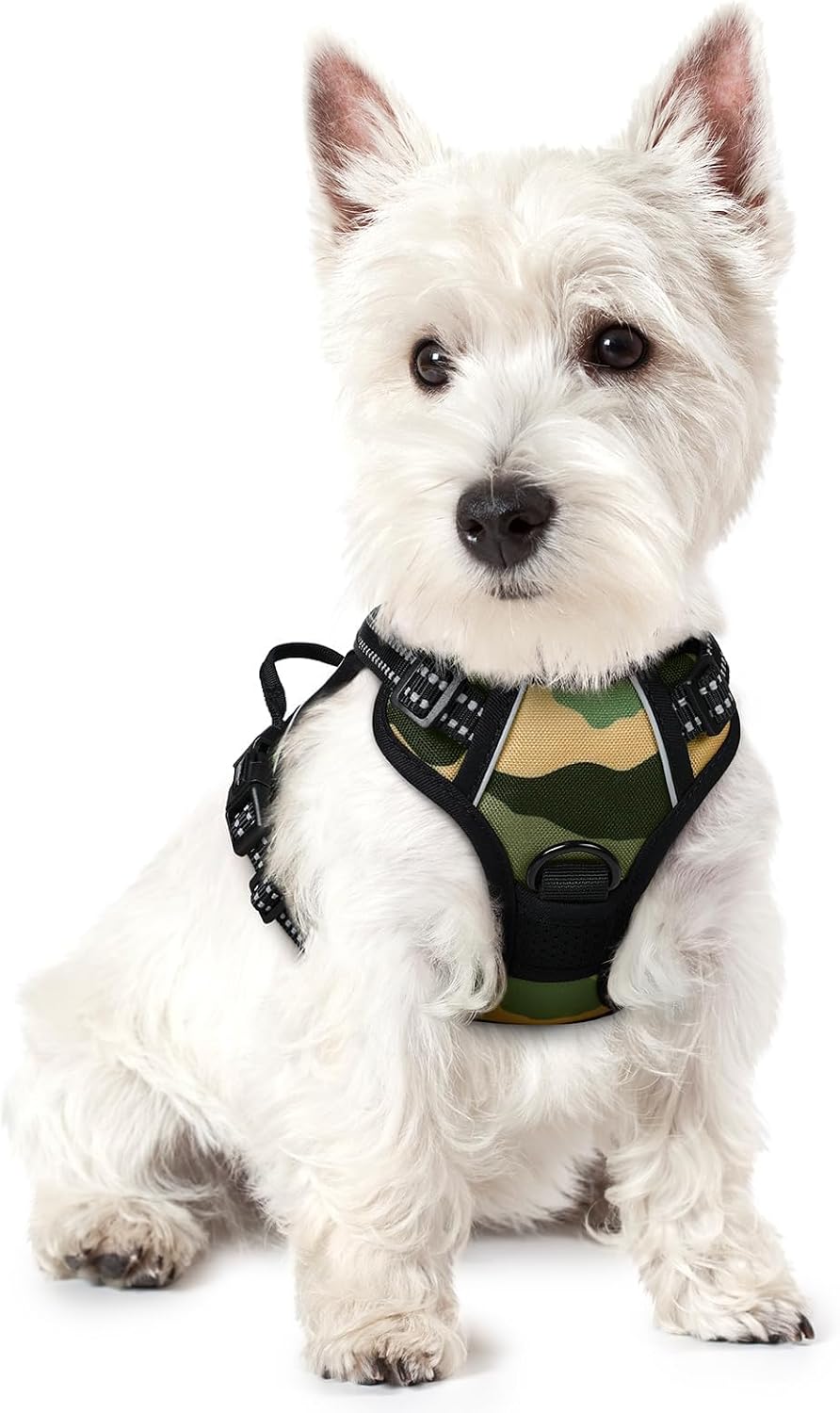 rabbitgoo Dog Harness, No Pull for Large Dogs with 2 Leash Clips, Pet Vest
