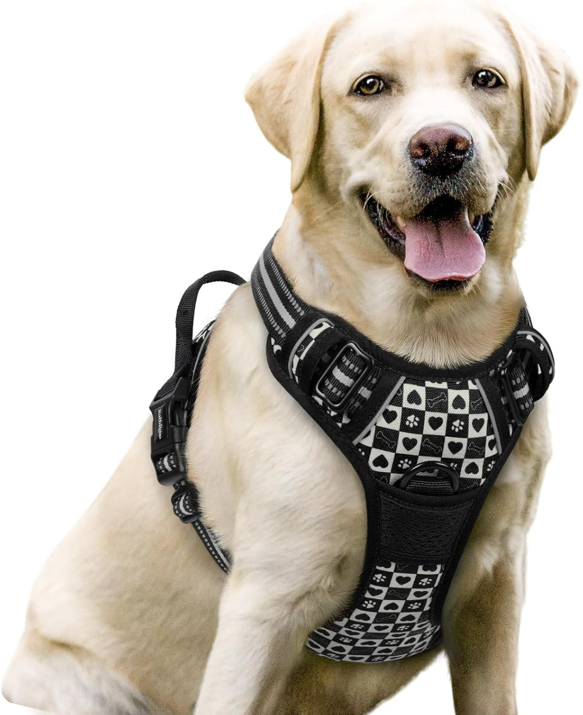 rabbitgoo Dog Harness, No Pull for Large Dogs with 2 Leash Clips, Pet Vest