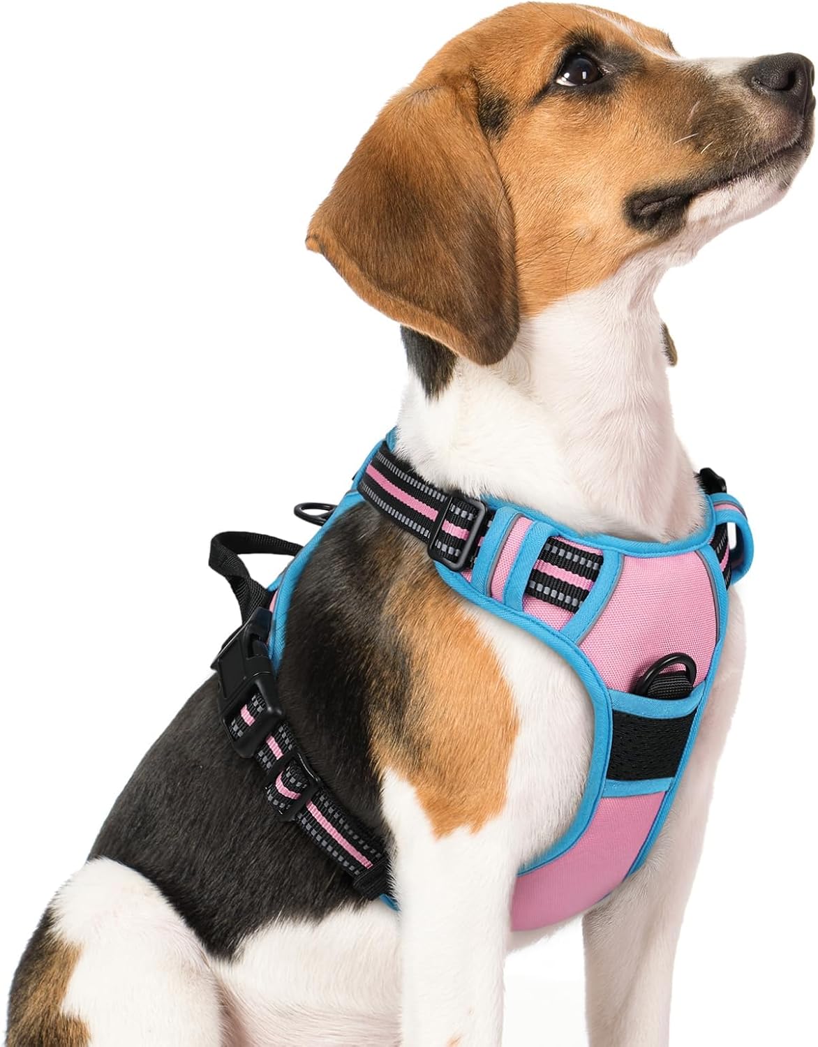 rabbitgoo Dog Harness, No Pull for Large Dogs with 2 Leash Clips, Pet Vest