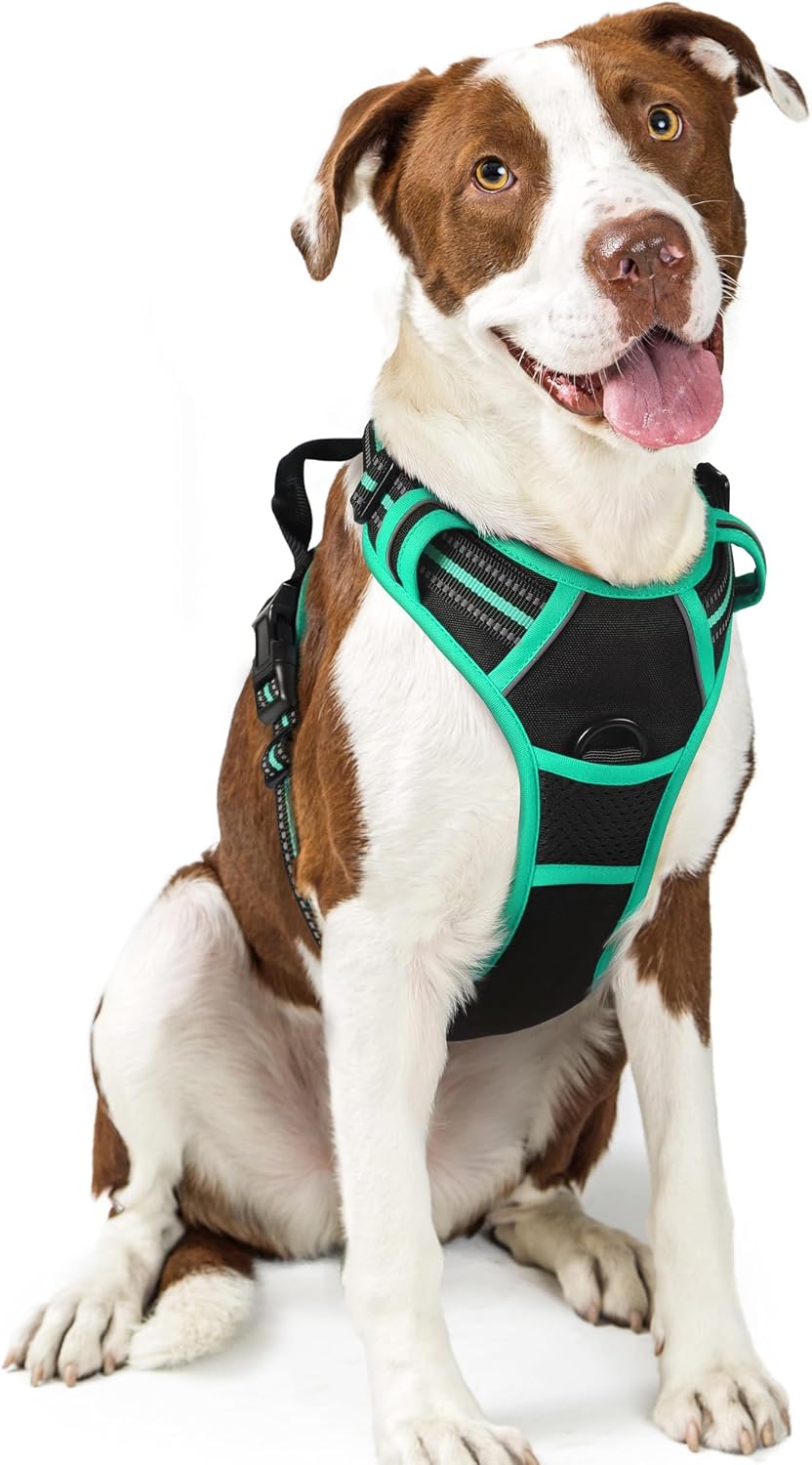 rabbitgoo Dog Harness, No Pull for Large Dogs with 2 Leash Clips, Pet Vest
