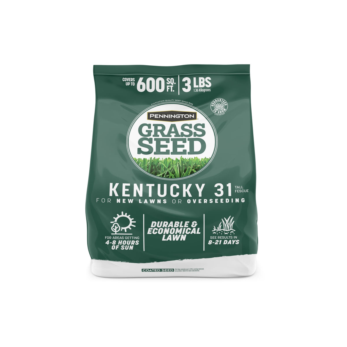 Pennington Kentucky 31 Tall Fescue Grass Seed, Drought-Resistant, 7 LB Father Jim Norris notebooks