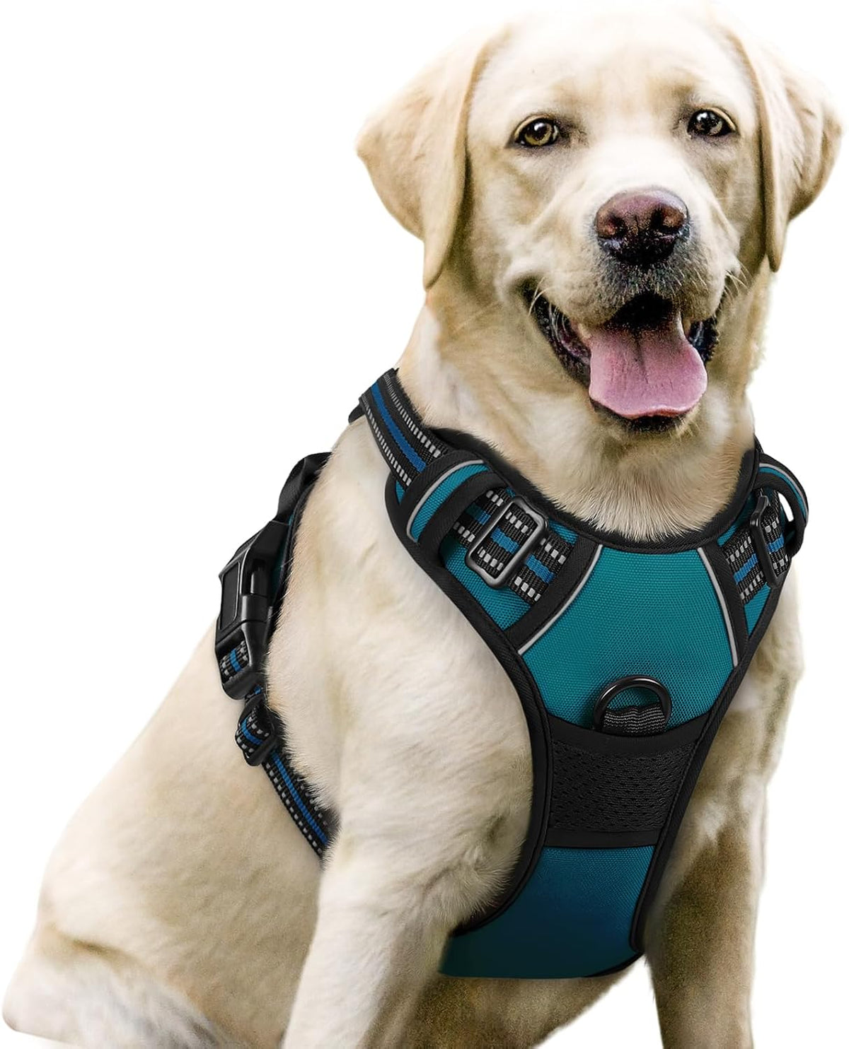rabbitgoo Dog Harness, No Pull for Large Dogs with 2 Leash Clips, Pet Vest