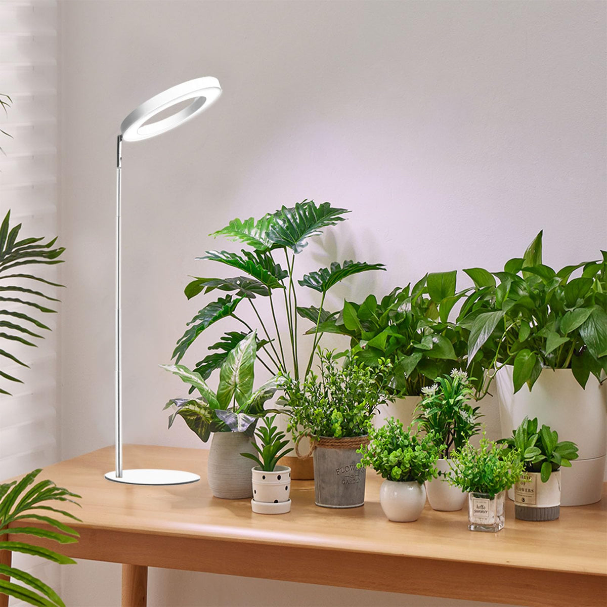 Yadoker 144 LEDs Full Spectrum Plant Grow Light for Indoor Plants,Height Adjustable, 6.3" Aluminum Housing,Automatic Timer with 8/12/16 Hours,10-Level Brightness,Black Plant Light with Base,2 Pack Father Jim Norris notebooks