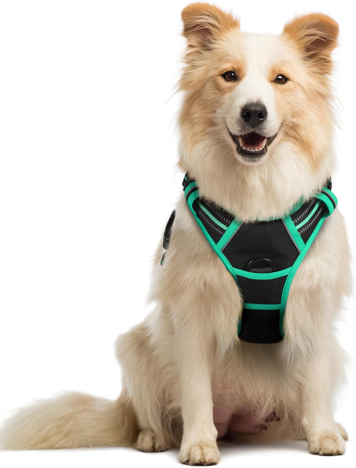 rabbitgoo Dog Harness, No Pull for Large Dogs with 2 Leash Clips, Pet Vest