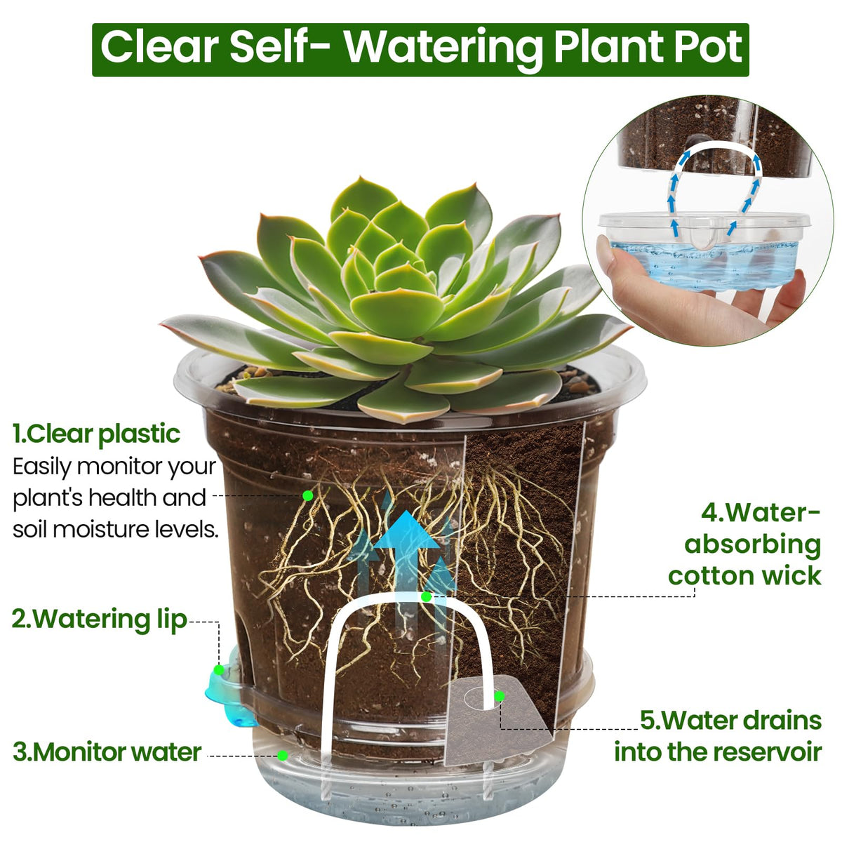 Bluepro Clear Nursery Pots with Humidity Domes, 4 Inch, 30-Pack Father Jim Norris notebooks