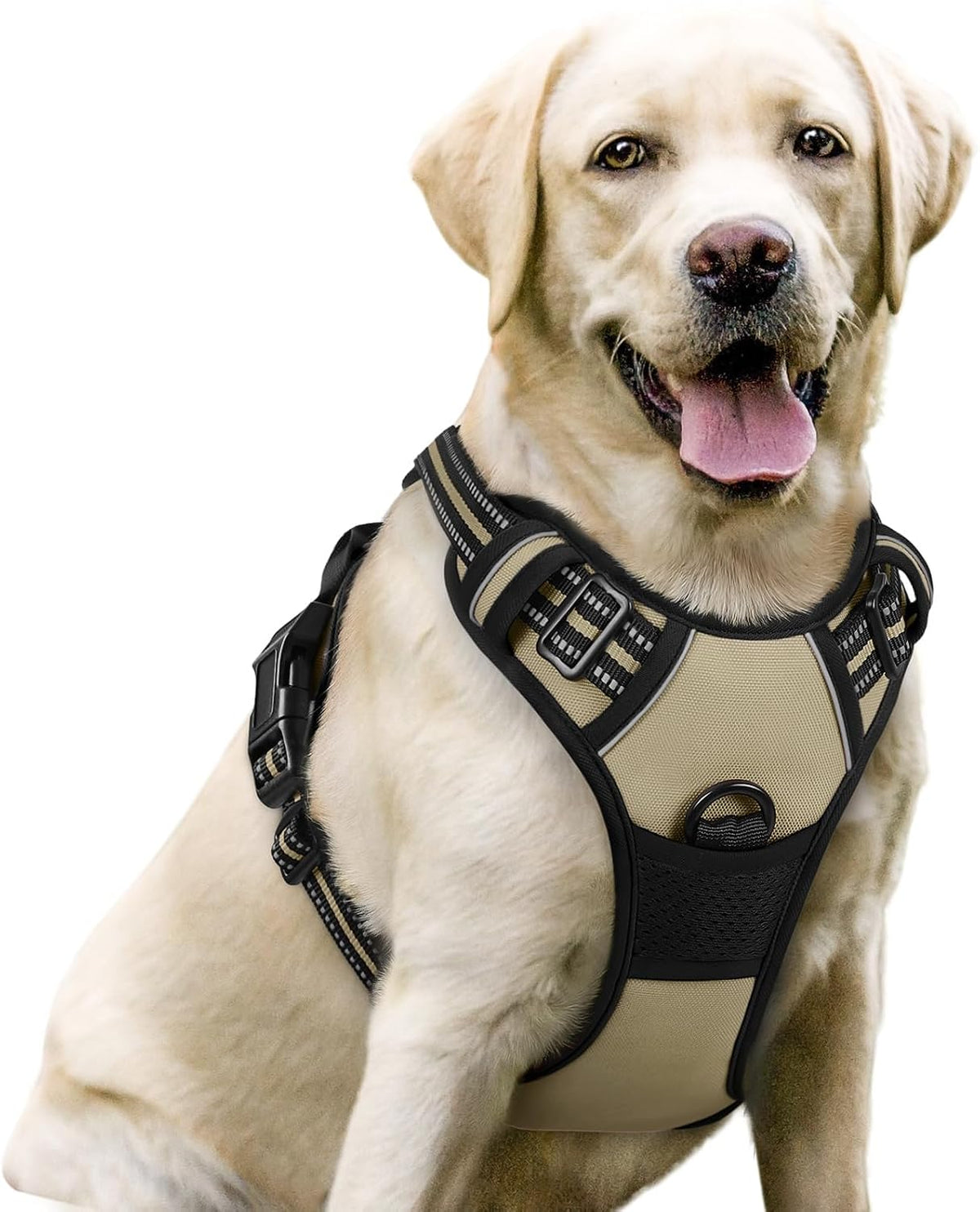 rabbitgoo Dog Harness, No Pull for Large Dogs with 2 Leash Clips, Pet Vest