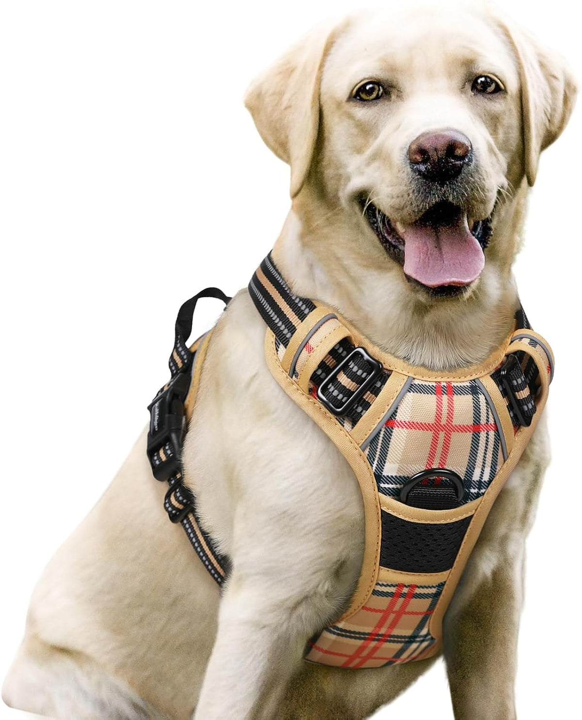 rabbitgoo Dog Harness, No Pull for Large Dogs with 2 Leash Clips, Pet Vest