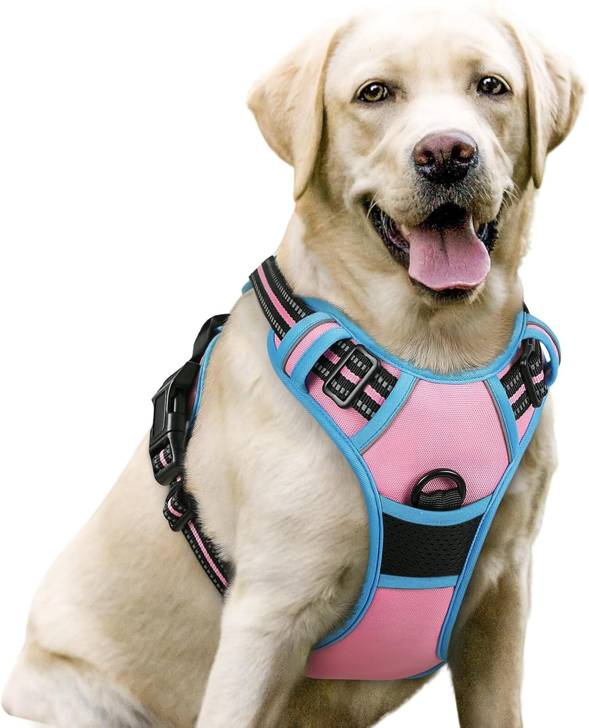 rabbitgoo Dog Harness, No Pull for Large Dogs with 2 Leash Clips, Pet Vest