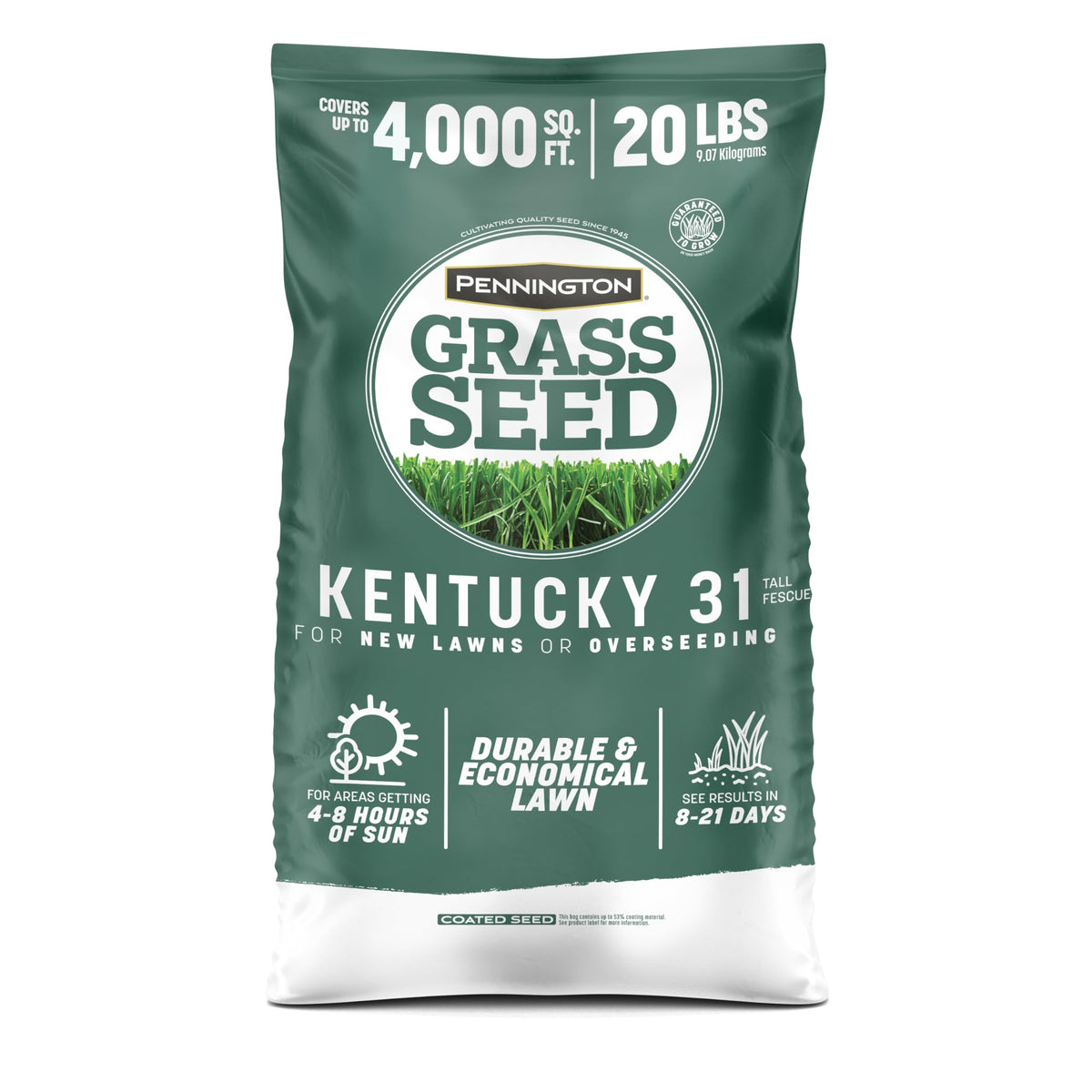 Pennington Kentucky 31 Tall Fescue Grass Seed, Drought-Resistant, 7 LB Father Jim Norris notebooks