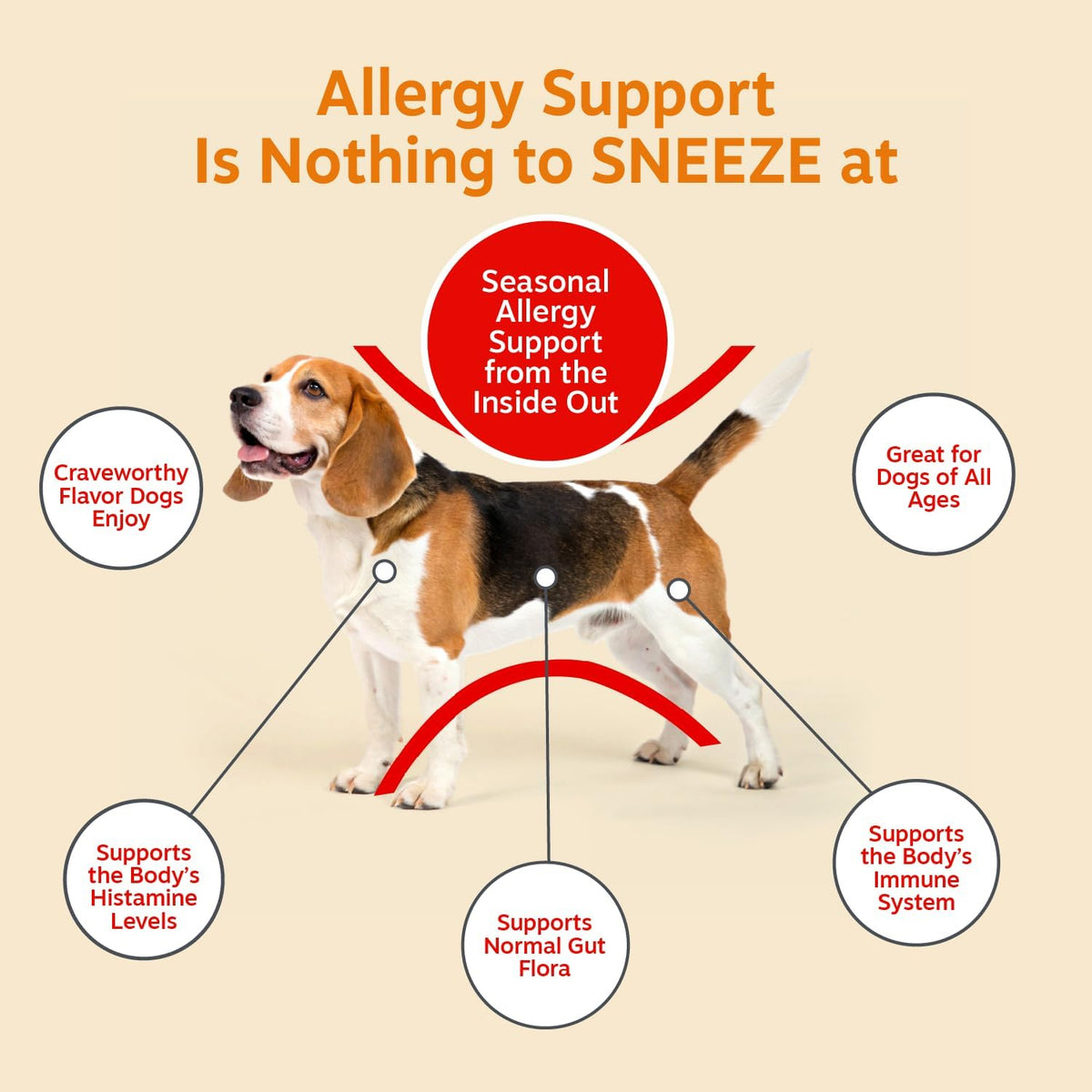 Zesty Paws Dog Allergy Chews - Dog Allergy Relief, Lamb, 90 Ct Father Jim Norris notebooks