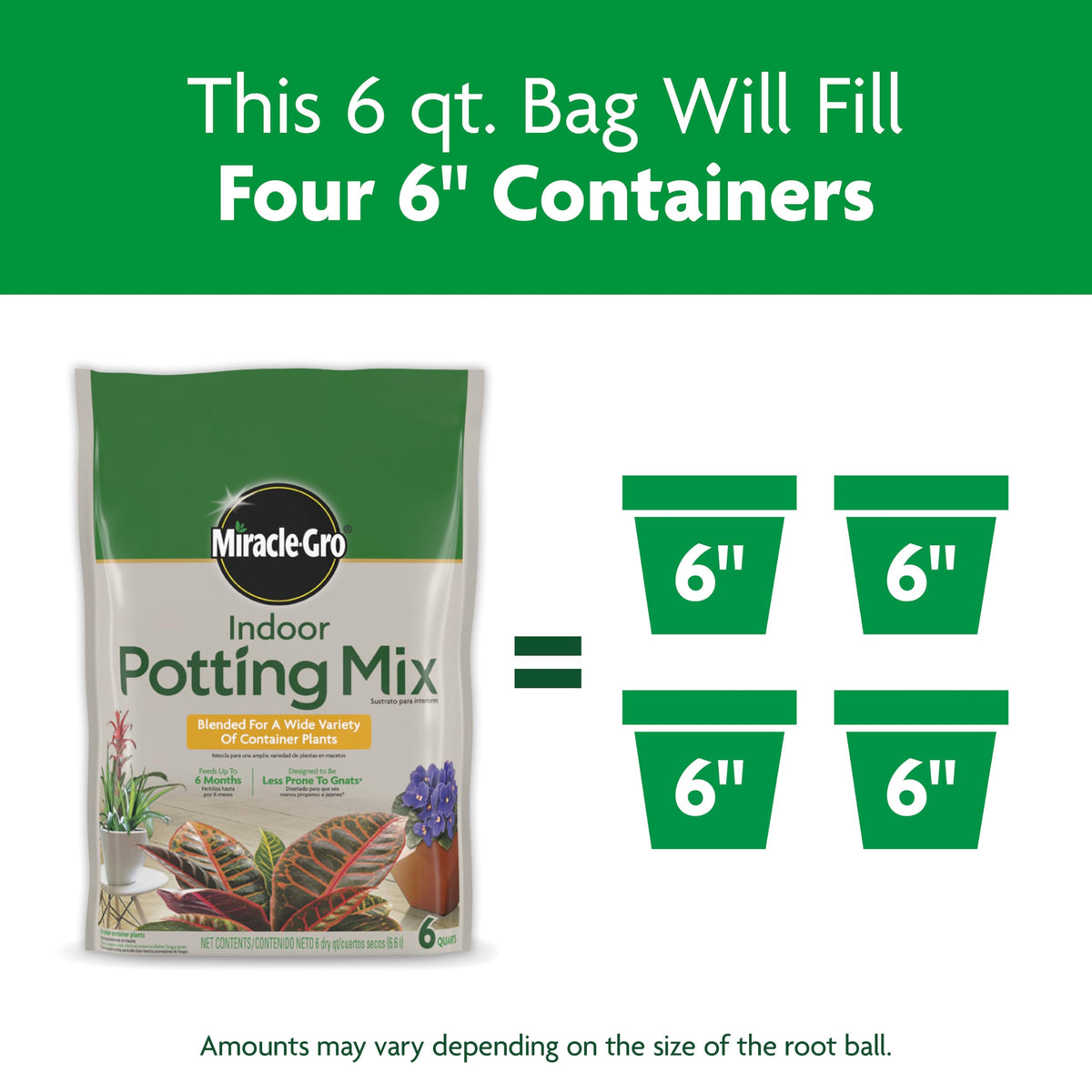 Miracle-Gro Indoor Plant Grow, Feed & Protect Houseplant Care Bundle Father Jim Norris notebooks
