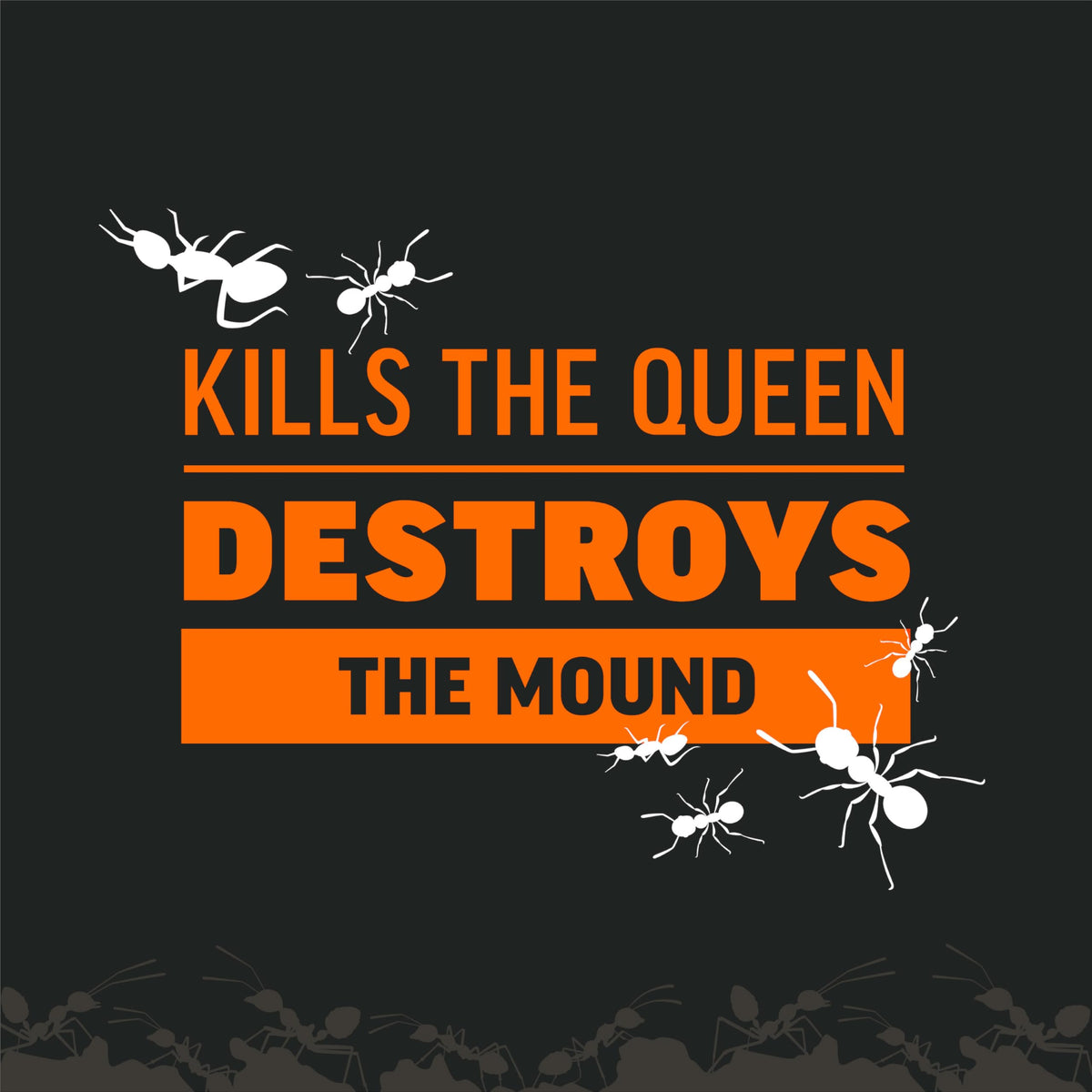 Amdro Fire Ant Killer for Mounds, 1 Lb Father Jim Norris notebooks