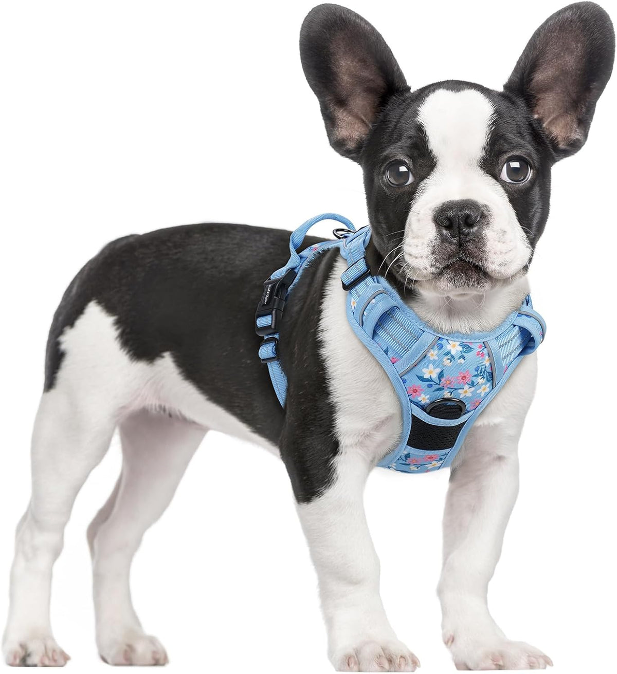 rabbitgoo Dog Harness, No Pull for Large Dogs with 2 Leash Clips, Pet Vest
