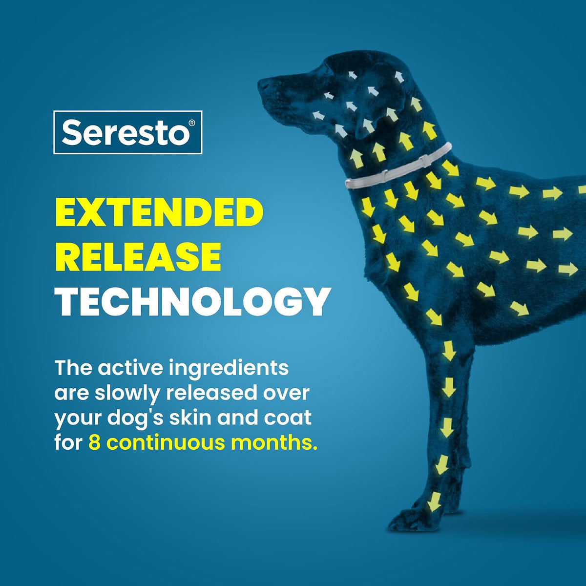 Seresto 8-Month Flea & Tick Collar for Large Dogs Over 18 lbs., 1ct