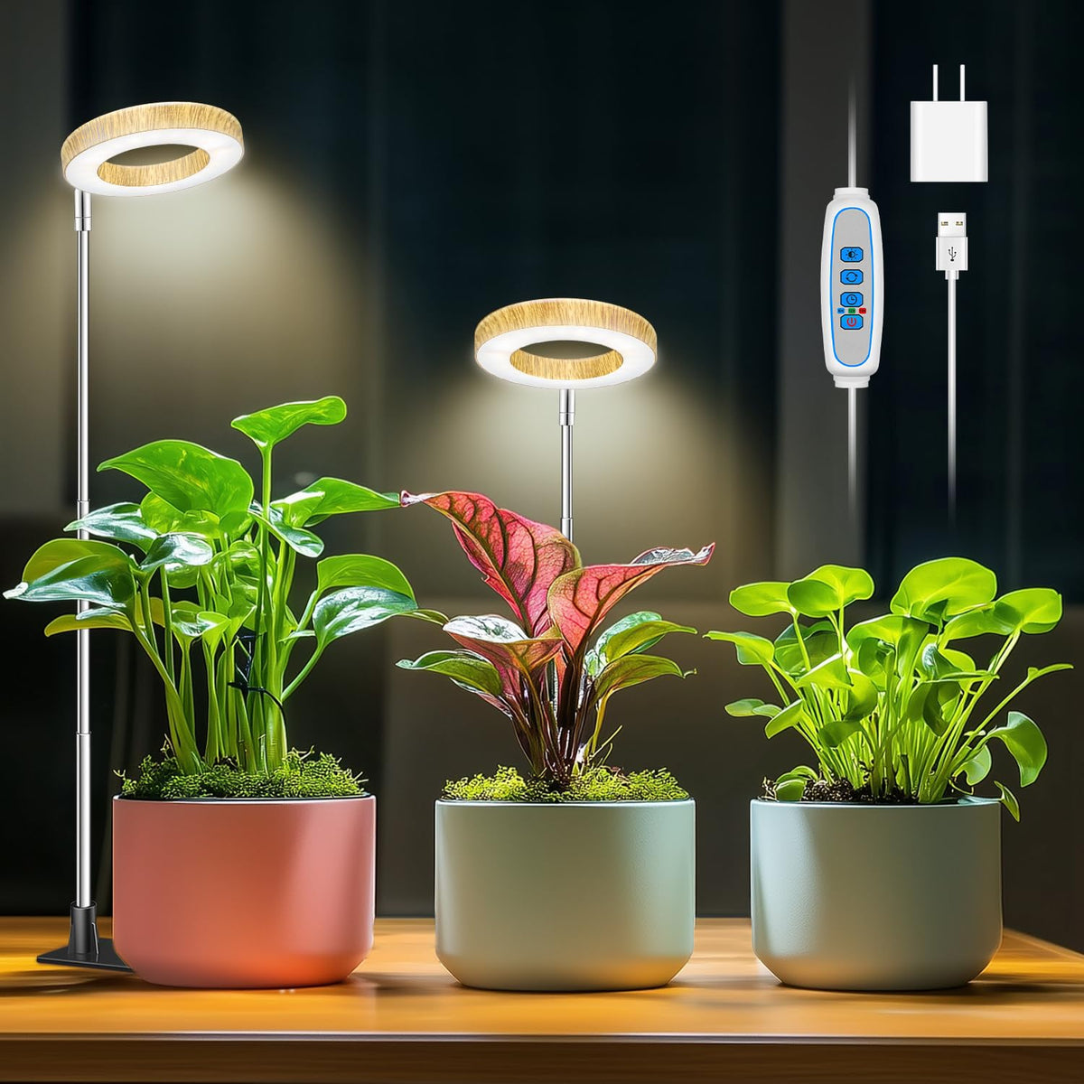 Aokrean Grow Lights for Indoor Plants Growing, Full Spectrum with Base Father Jim Norris notebooks