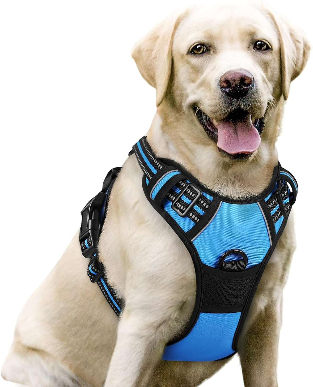 rabbitgoo Dog Harness, No Pull for Large Dogs with 2 Leash Clips, Pet Vest