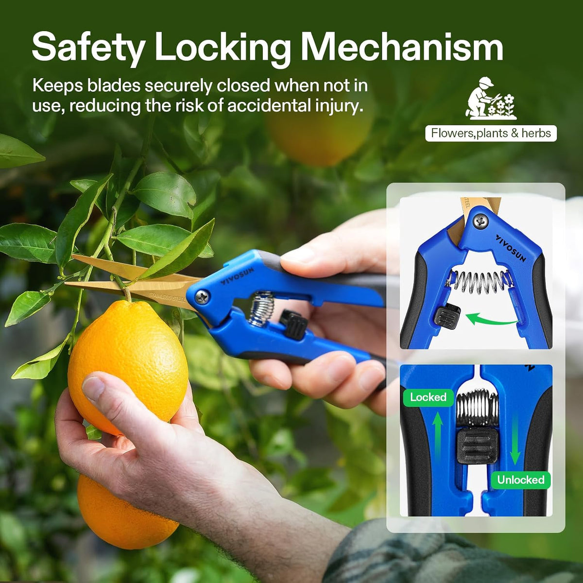 VIVOSUN 6.5 Inch Gardening Scissors Hand Pruner Pruning Shear with Straight Stainless Steel Blades Orange 1-Pack Father Jim Norris notebooks