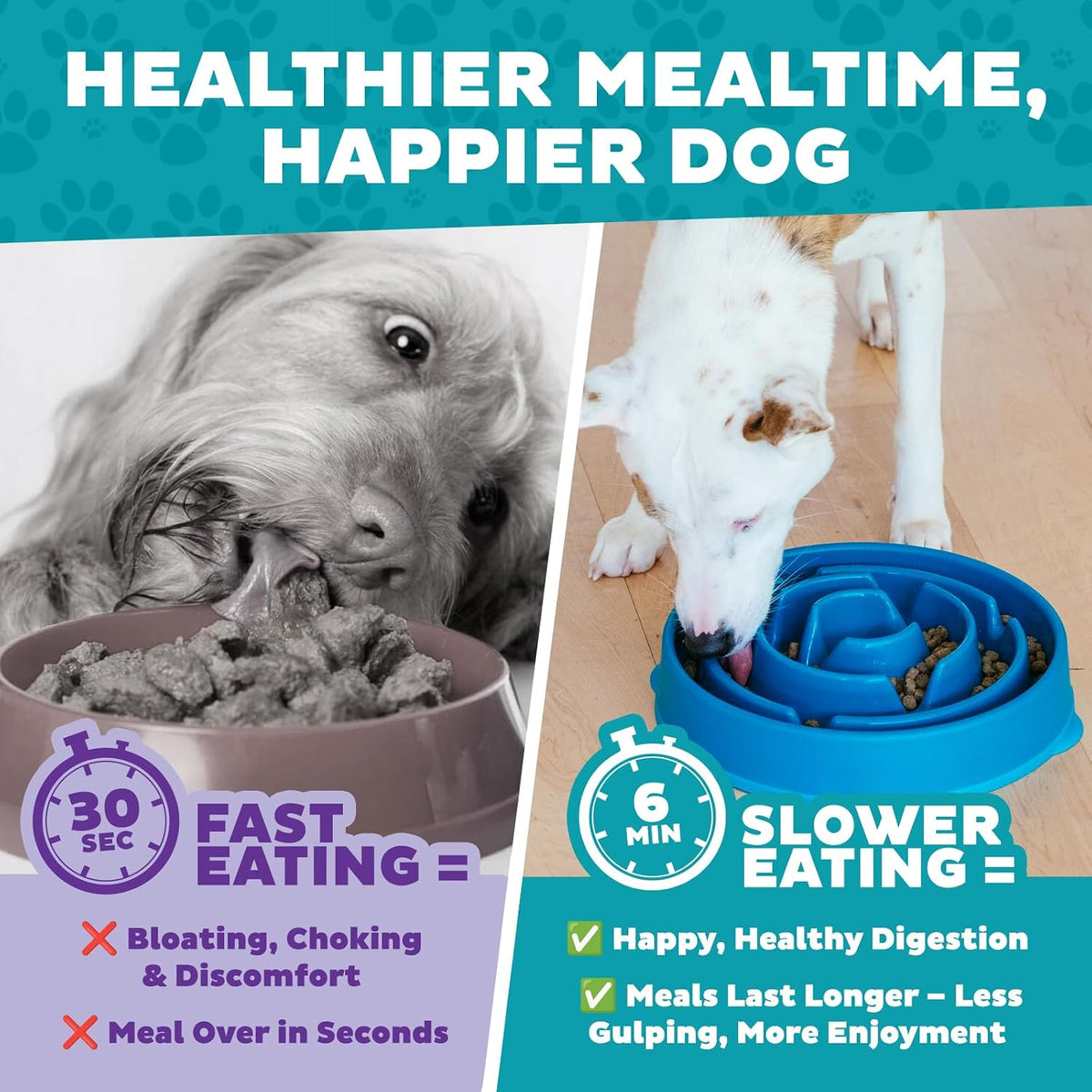 Outward Hound Fun Feeder Slo Bowl Dog Slow Feeder, Notch, Blue, 8.8"