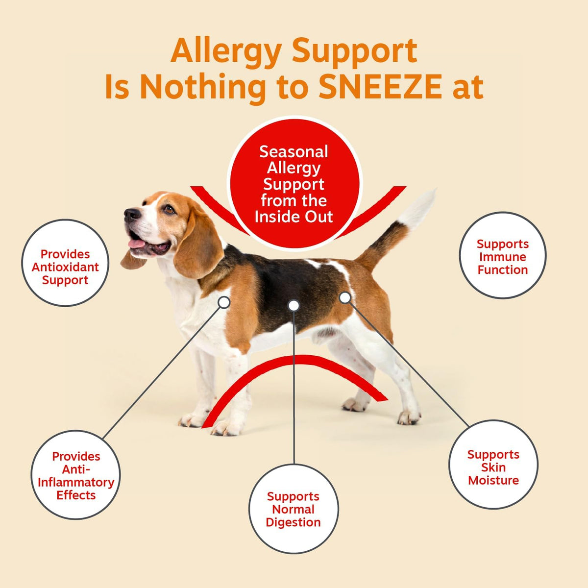 Zesty Paws Dog Allergy Chews - Dog Allergy Relief, Lamb, 90 Ct Father Jim Norris notebooks