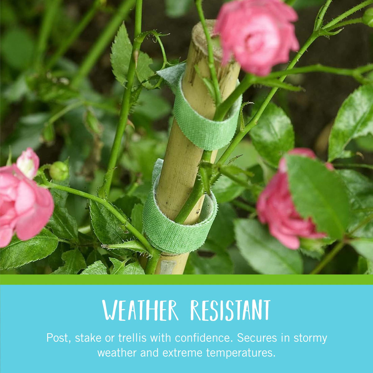 VELCRO Brand Adjustable Plant Ties, Green Garden Tape, 75 ft x 1/2 in Father Jim Norris notebooks