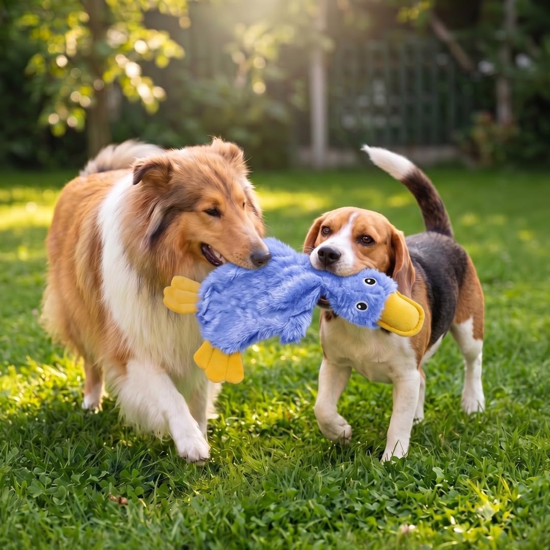 Best Pet Supplies Interactive Squeaky Dog Toy - Crinkle Duck, Blue Father Jim Norris notebooks