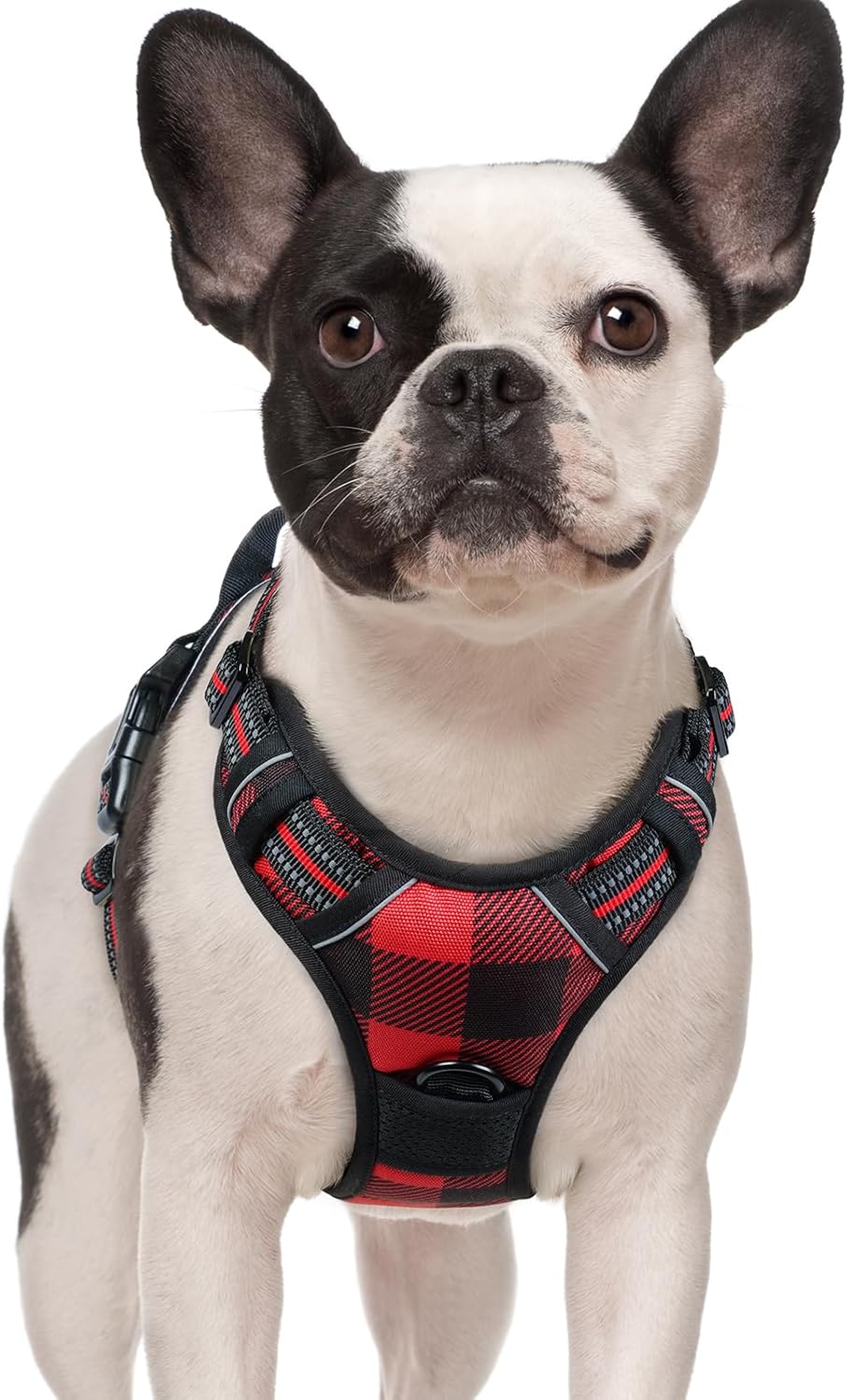 rabbitgoo Dog Harness, No Pull for Large Dogs with 2 Leash Clips, Pet Vest