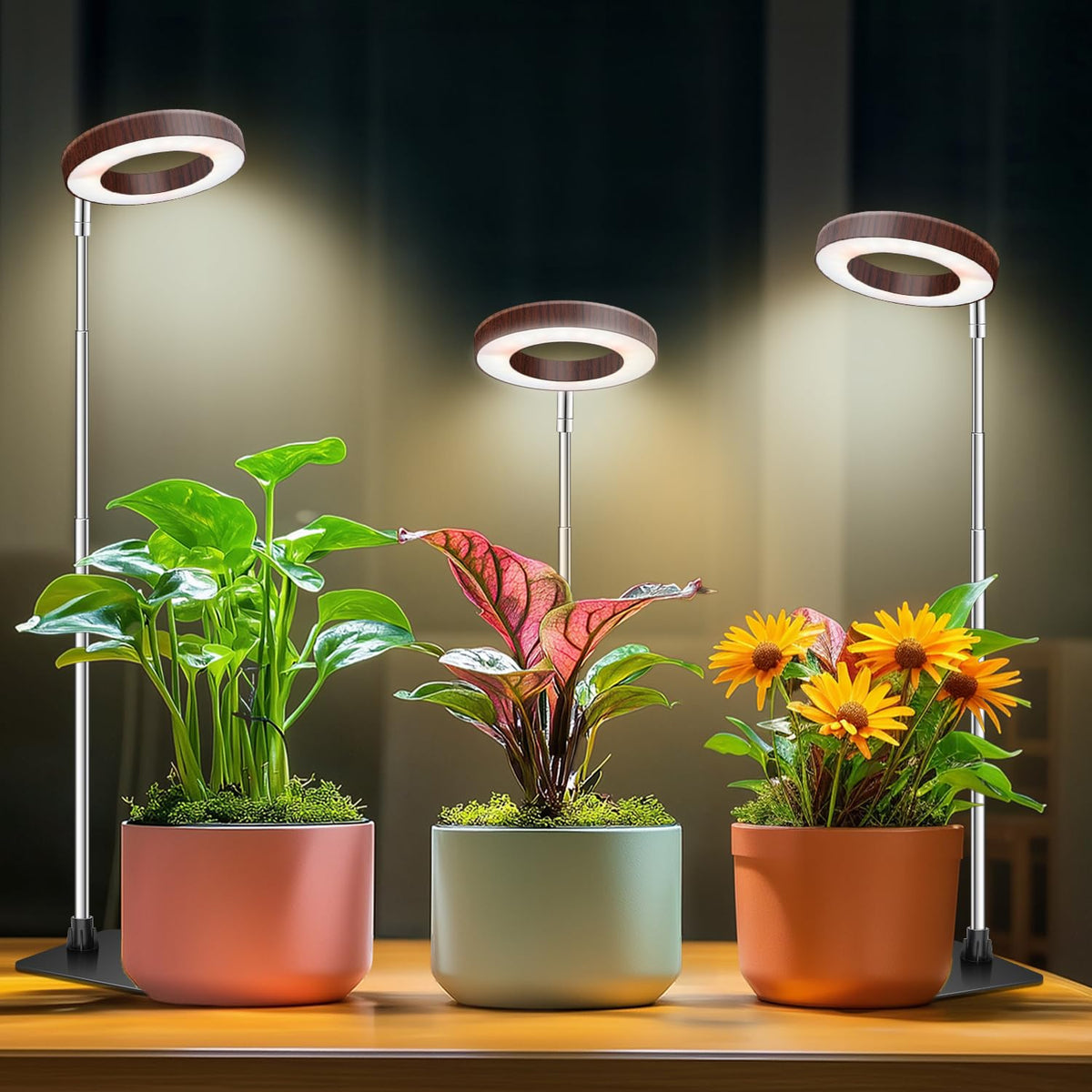 Aokrean Grow Lights for Indoor Plants Growing, Full Spectrum with Base Father Jim Norris notebooks