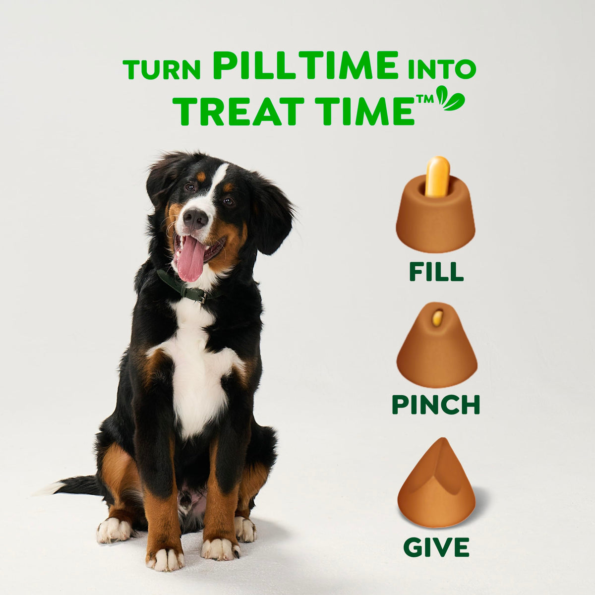 Greenies Pill Pockets Large Size Dog Treats, Hickory Smoke, 15.8 oz Father Jim Norris notebooks