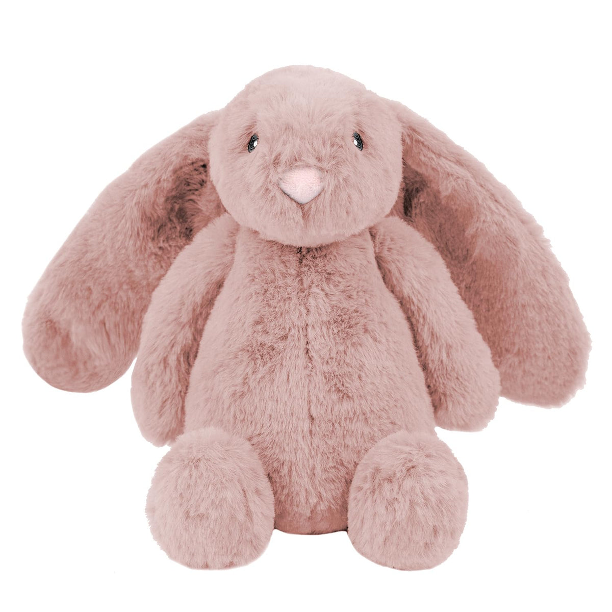 Best Pet Supplies Interactive Squeaky Dog Toy - Crinkle Duck, Blue Father Jim Norris notebooks