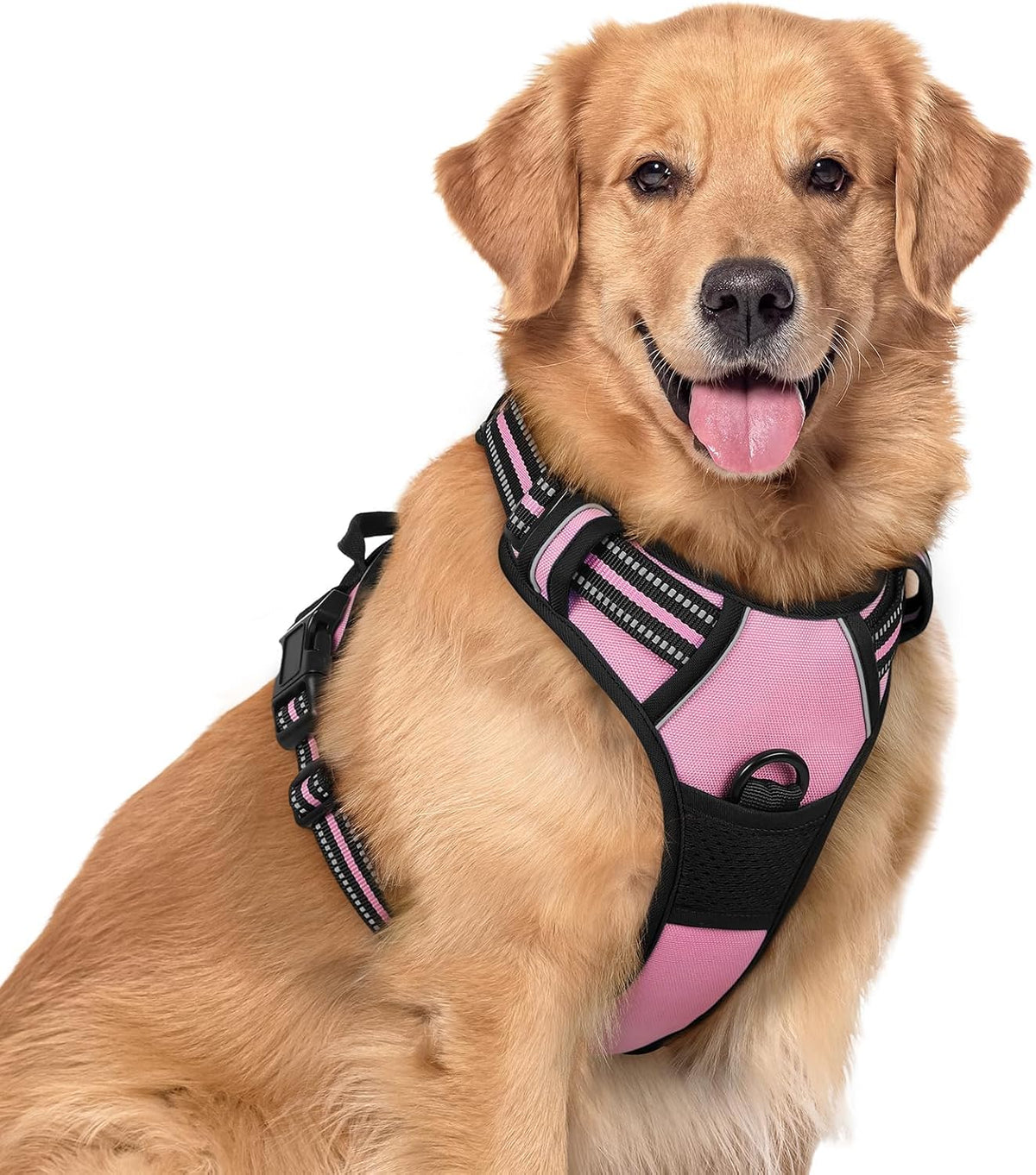 rabbitgoo Dog Harness, No Pull for Large Dogs with 2 Leash Clips, Pet Vest