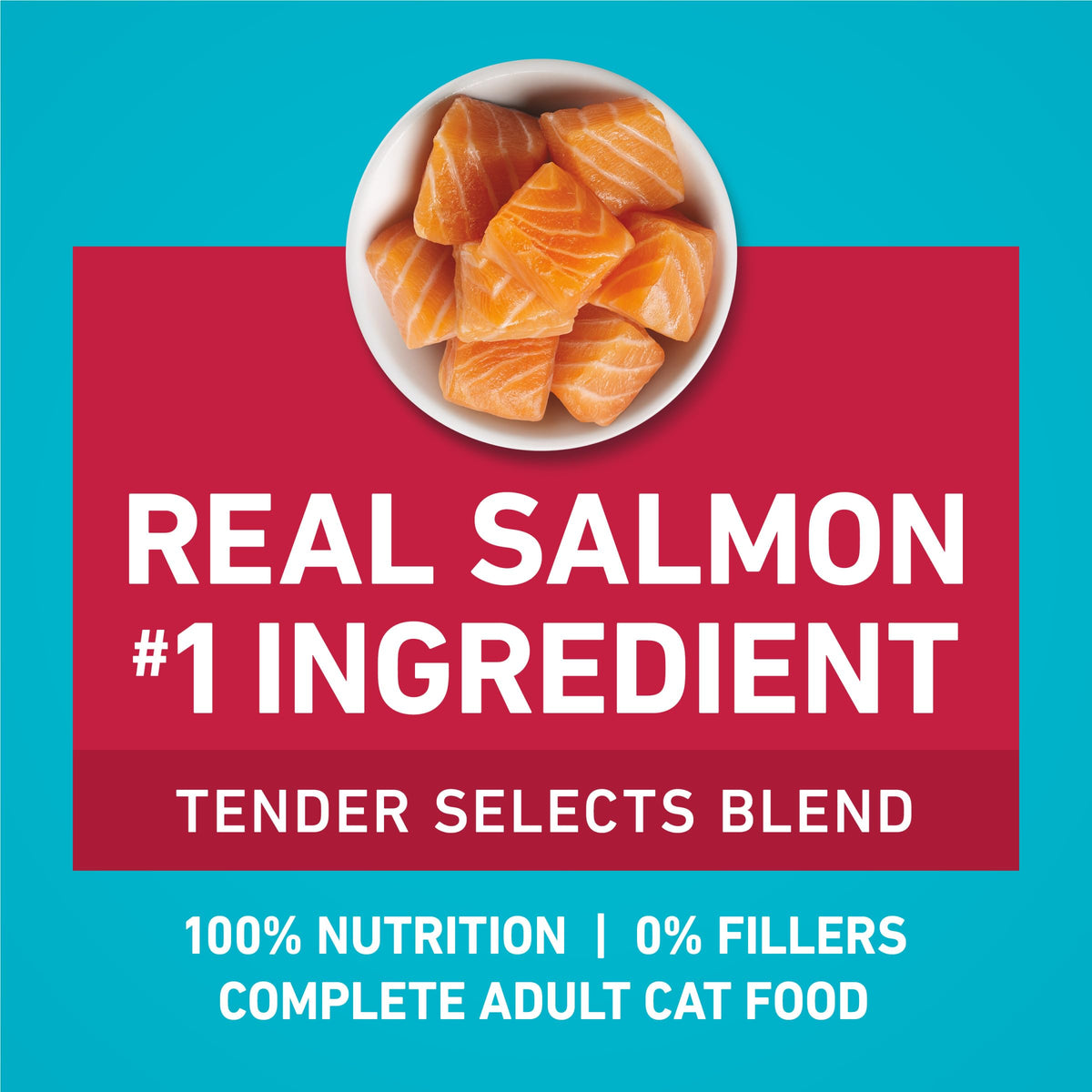 Purina ONE Tender Selects Dry Cat Food, Salmon, 7 lb Bag