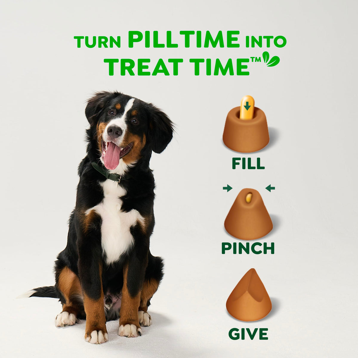 Greenies Pill Pockets Large Size Dog Treats, Hickory Smoke, 15.8 oz Father Jim Norris notebooks