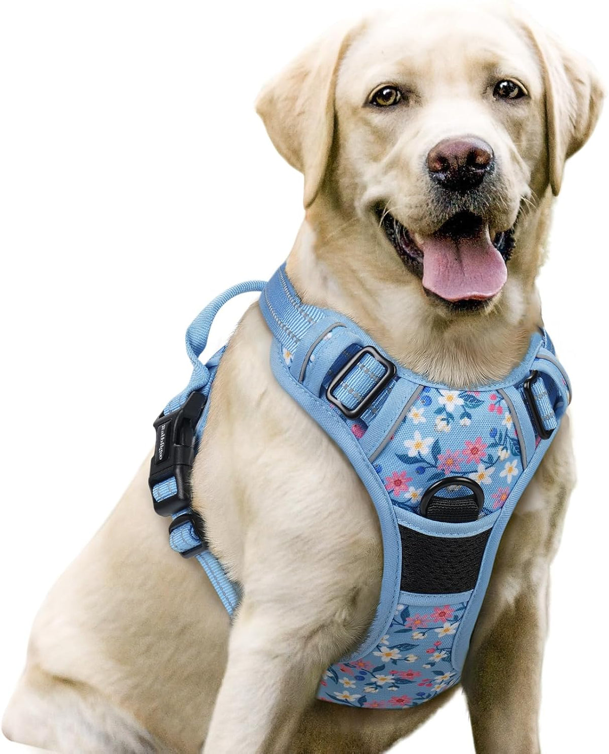 rabbitgoo Dog Harness, No Pull for Large Dogs with 2 Leash Clips, Pet Vest