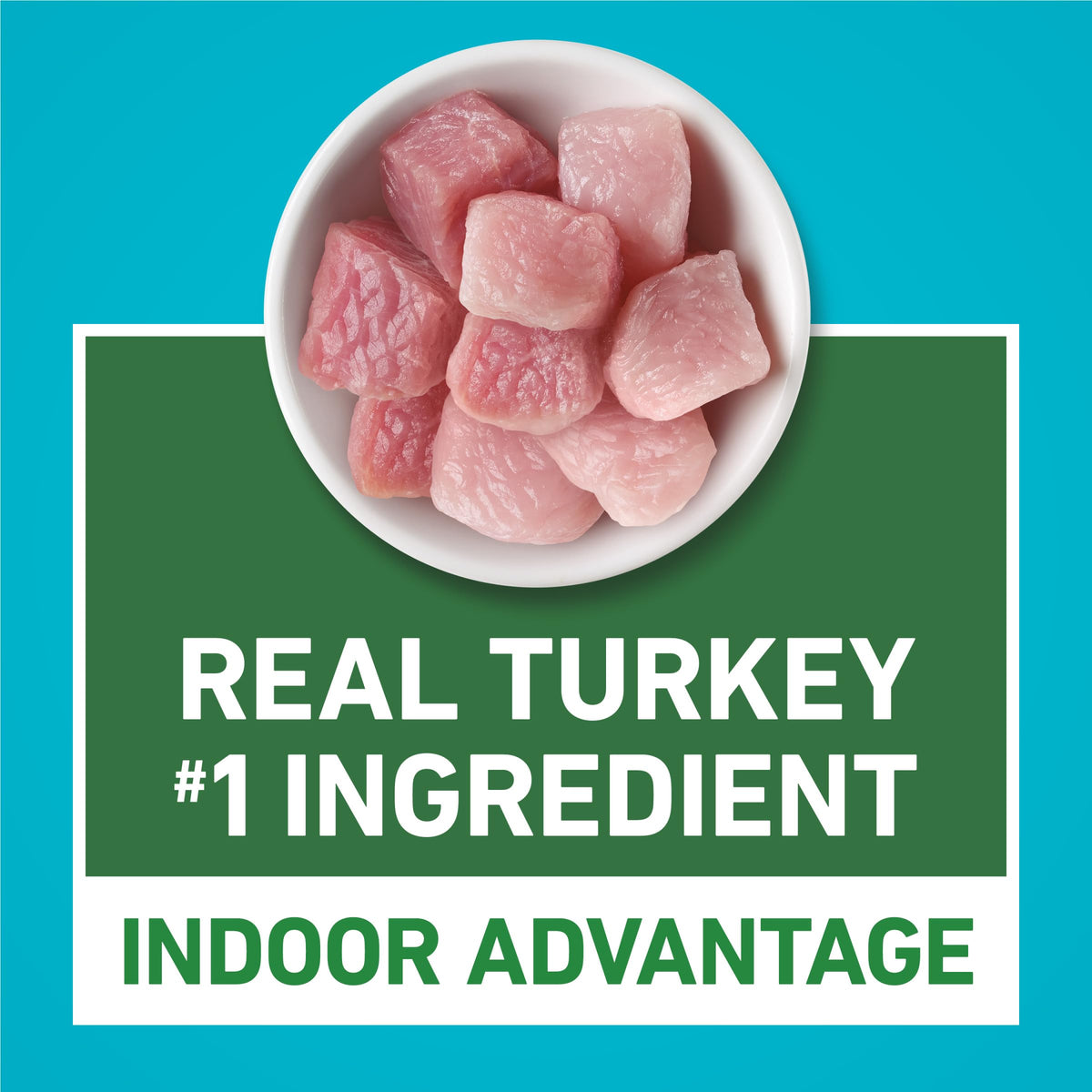 Purina ONE Natural Indoor Dry Cat Food, +Plus Indoor Advantage