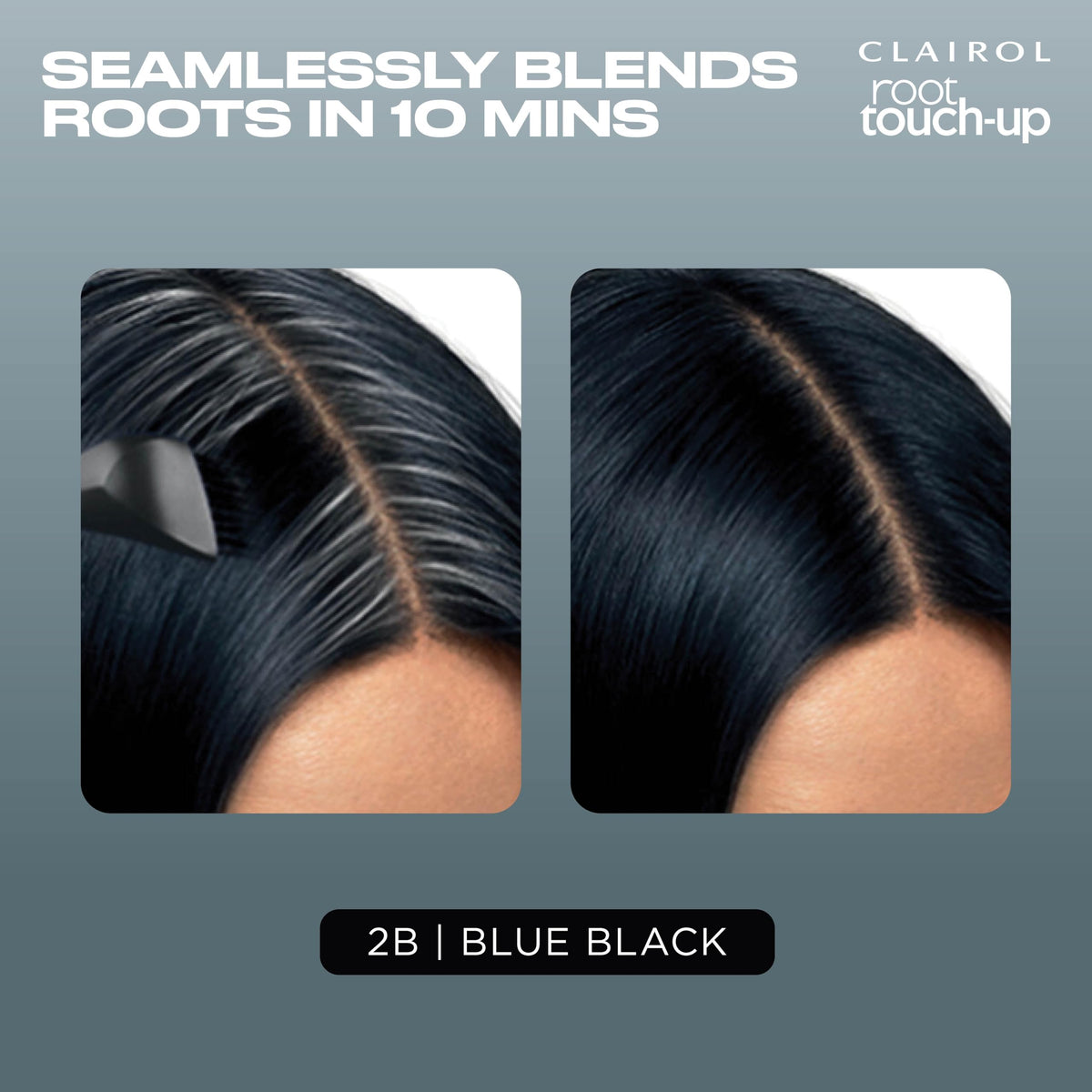 Clairol Root Touch Up Permanent Hair Dye, 5 Medium Brown, Pack of 1 Father Jim Norris notebooks
