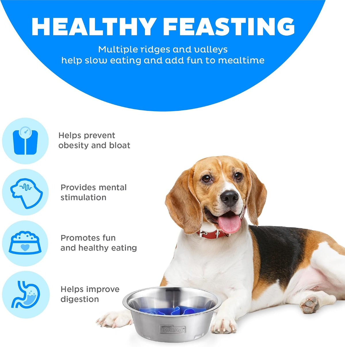 Outward Hound Fun Feeder Slo Bowl Dog Slow Feeder, Notch, Sage, 11.8"