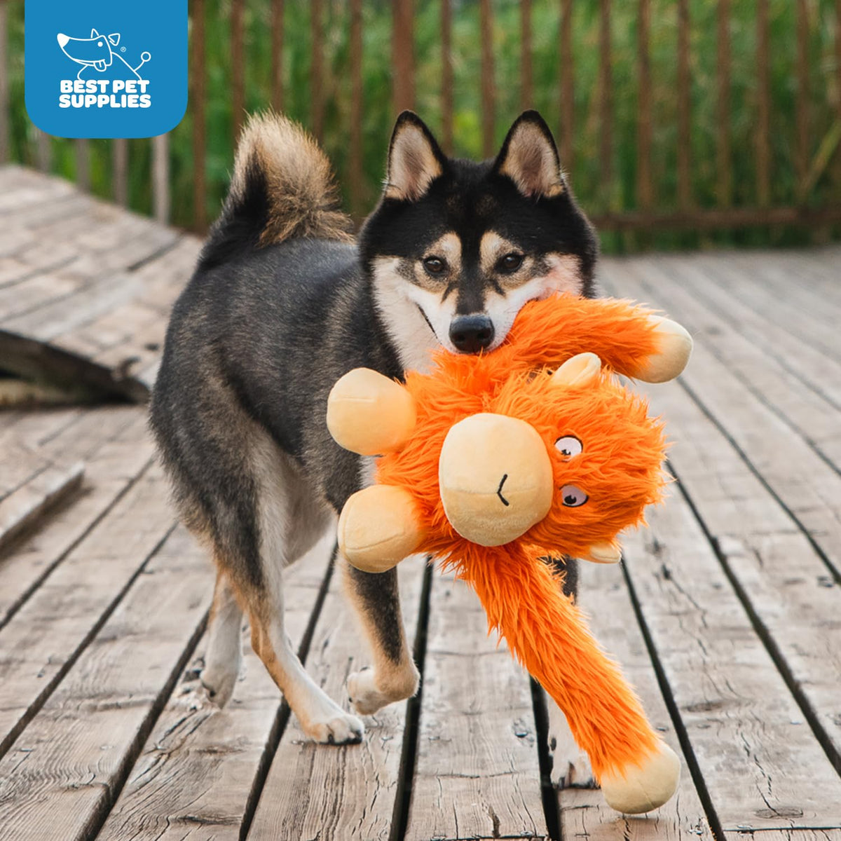 Best Pet Supplies Interactive Squeaky Dog Toy - Crinkle Duck, Blue Father Jim Norris notebooks
