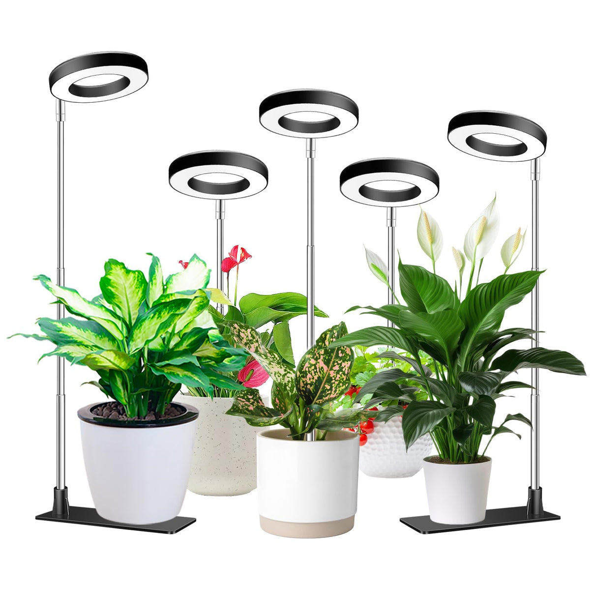 Aokrean Grow Lights for Indoor Plants Growing, Full Spectrum with Base Father Jim Norris notebooks