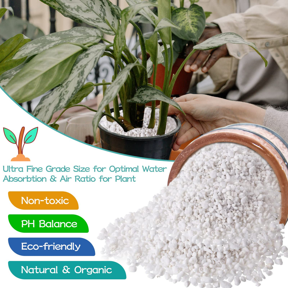 Legigo 4 Quarts Organic Perlite for Plants Indoor, Soil Mix Amendment Father Jim Norris notebooks