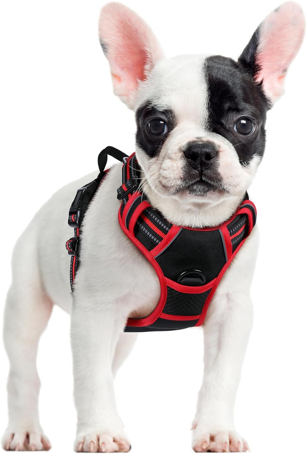 rabbitgoo Dog Harness, No Pull for Large Dogs with 2 Leash Clips, Pet Vest