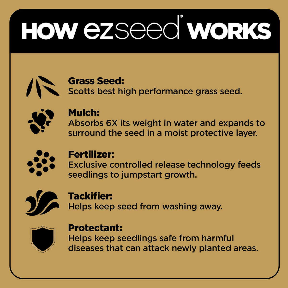 Scotts EZ Seed Patch & Repair Sun and Shade, 10 lbs. Father Jim Norris notebooks