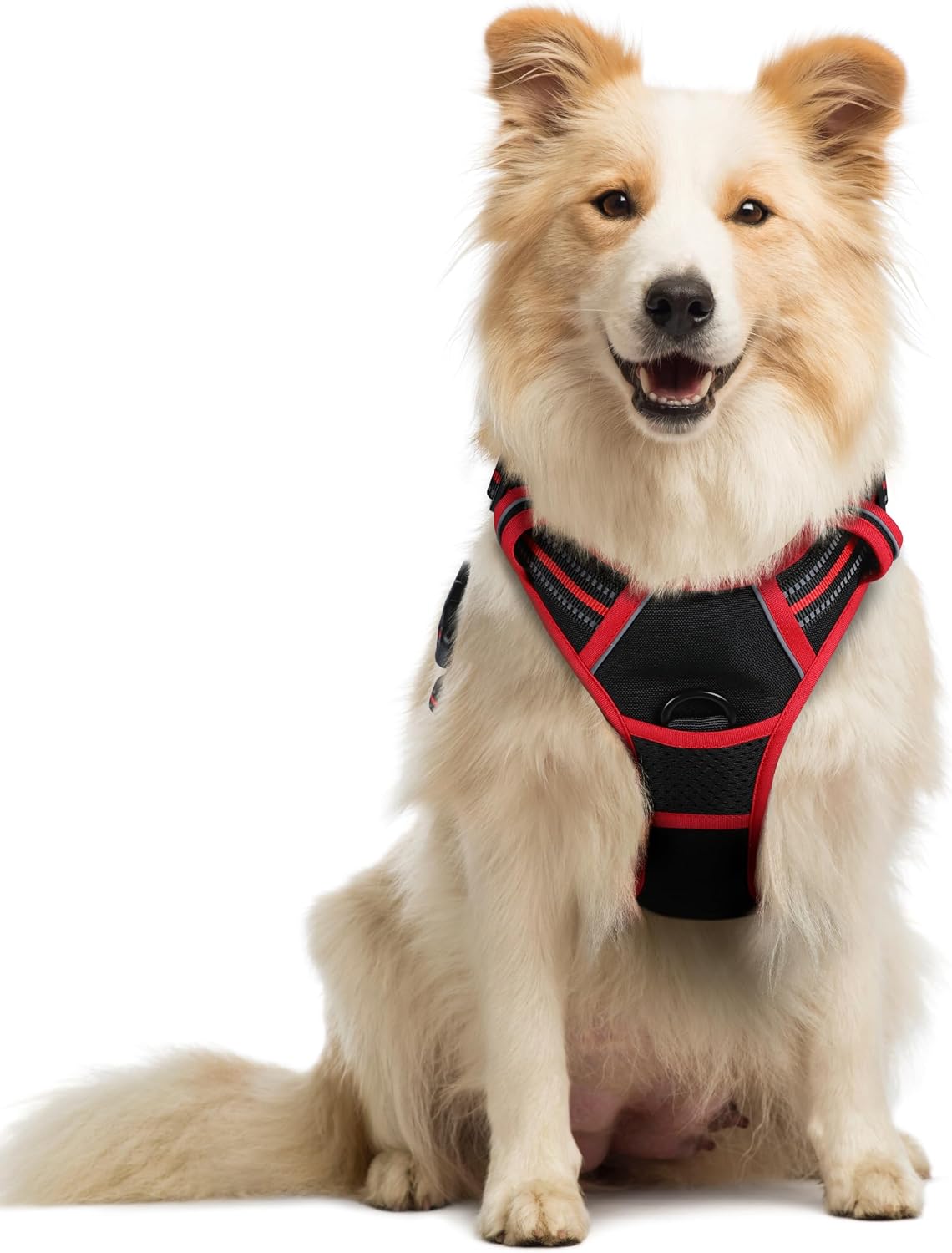 rabbitgoo Dog Harness, No Pull for Large Dogs with 2 Leash Clips, Pet Vest