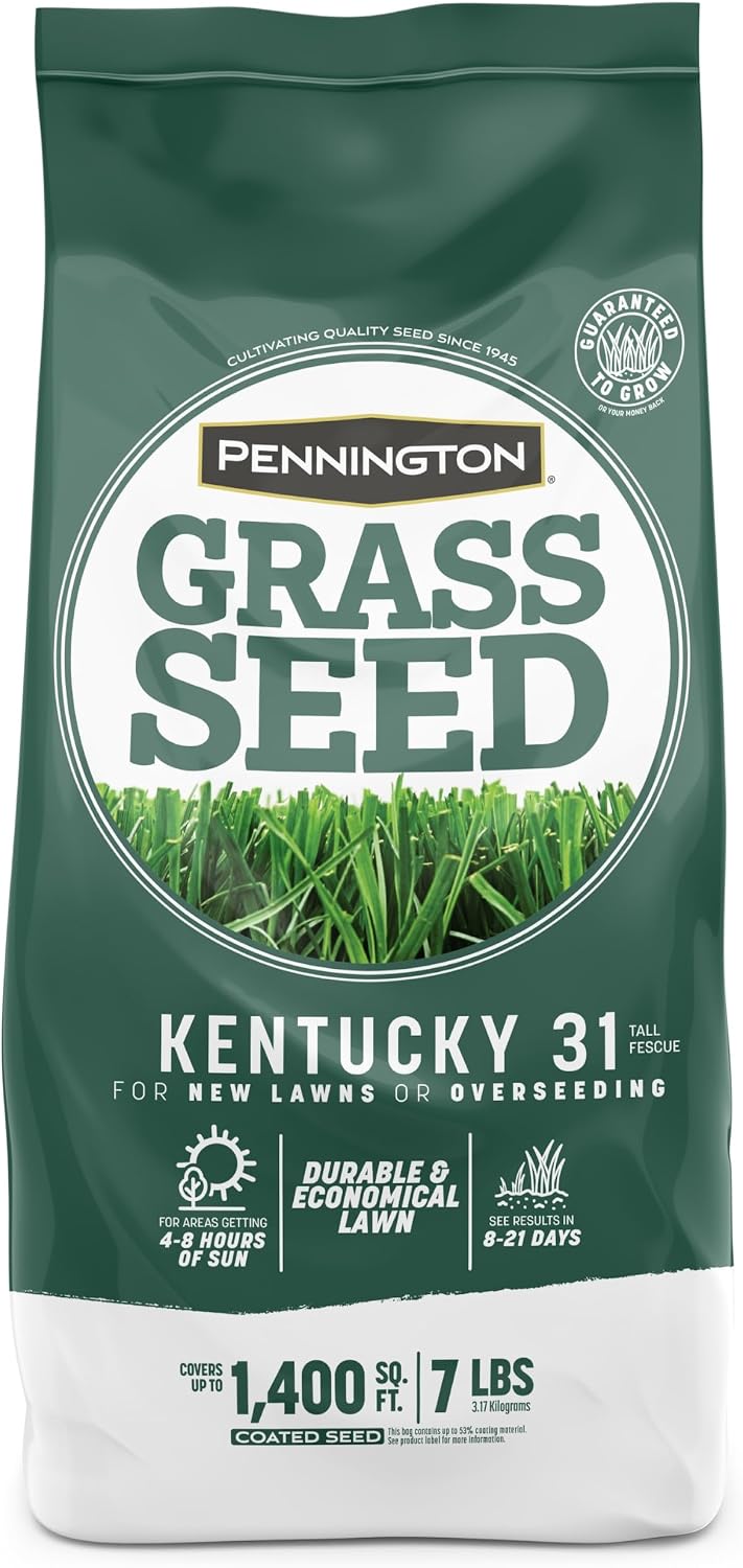 Pennington Kentucky 31 Tall Fescue Grass Seed, Drought-Resistant, 7 LB Father Jim Norris notebooks