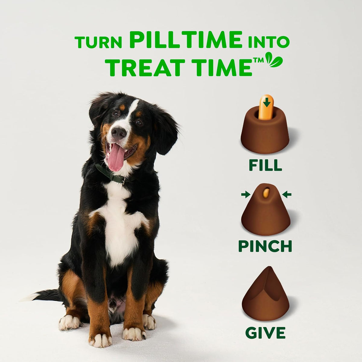 Greenies Pill Pockets Large Size Dog Treats, Hickory Smoke, 15.8 oz Father Jim Norris notebooks