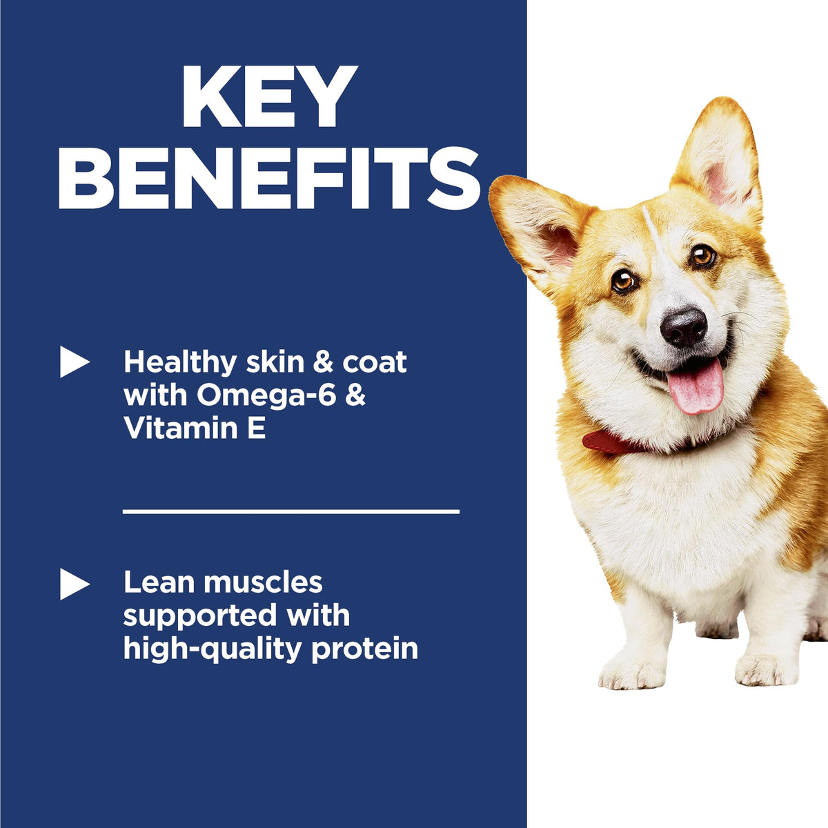 Hill's Science Diet Adult 1-6 Small Bites Dry Dog Food